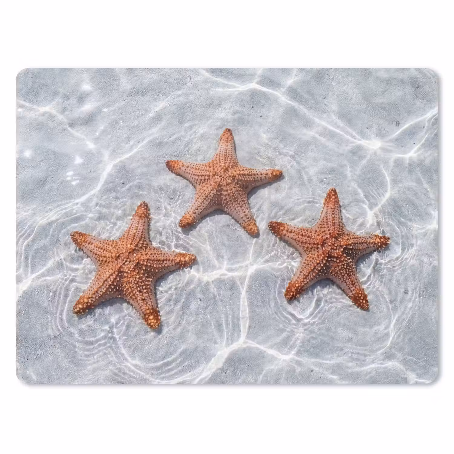 Zeesterren - Water - Helder muismat rubber klein -3d