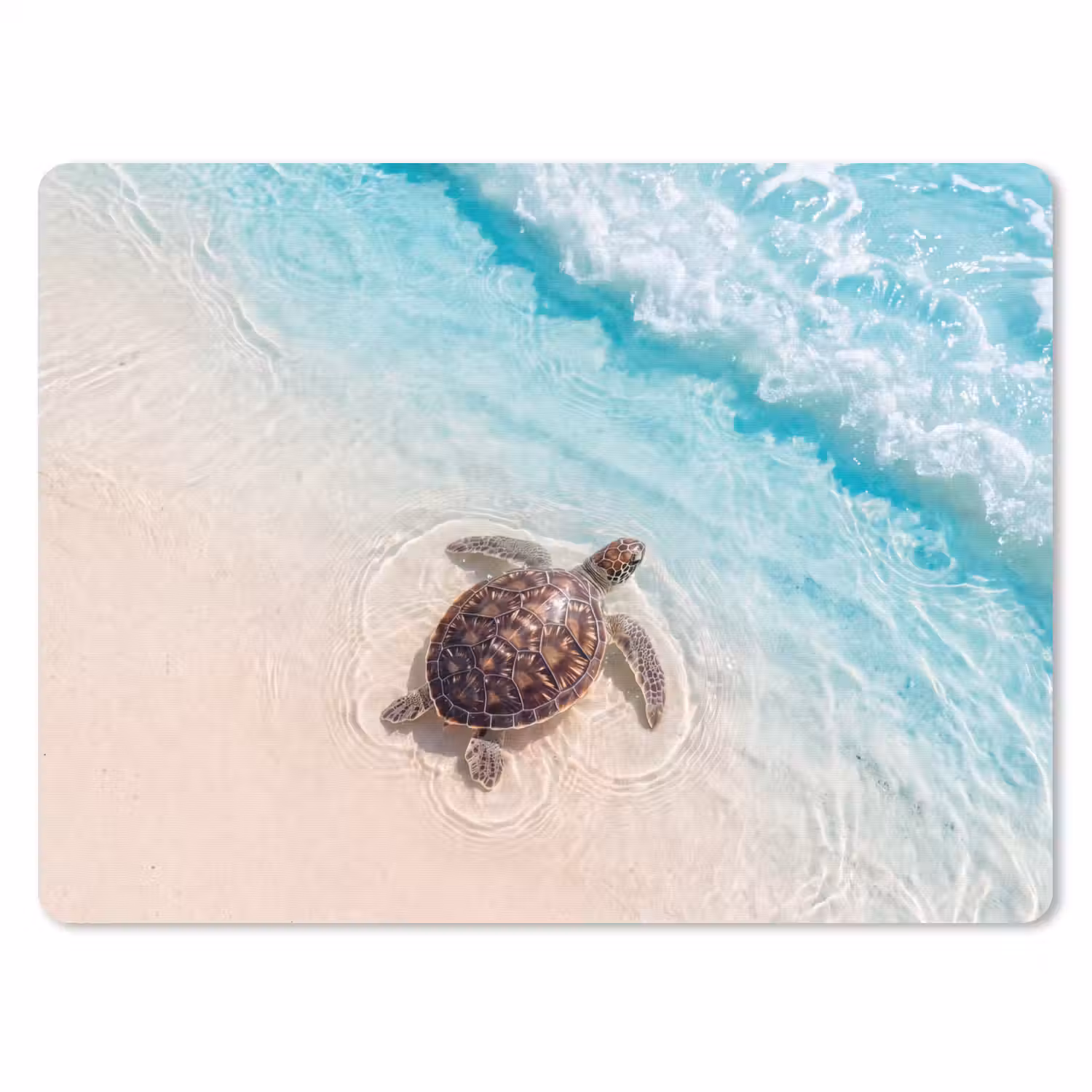 Schildpad - Helder water - Strand - Dieren - Natuur muismat rubber klein -3d