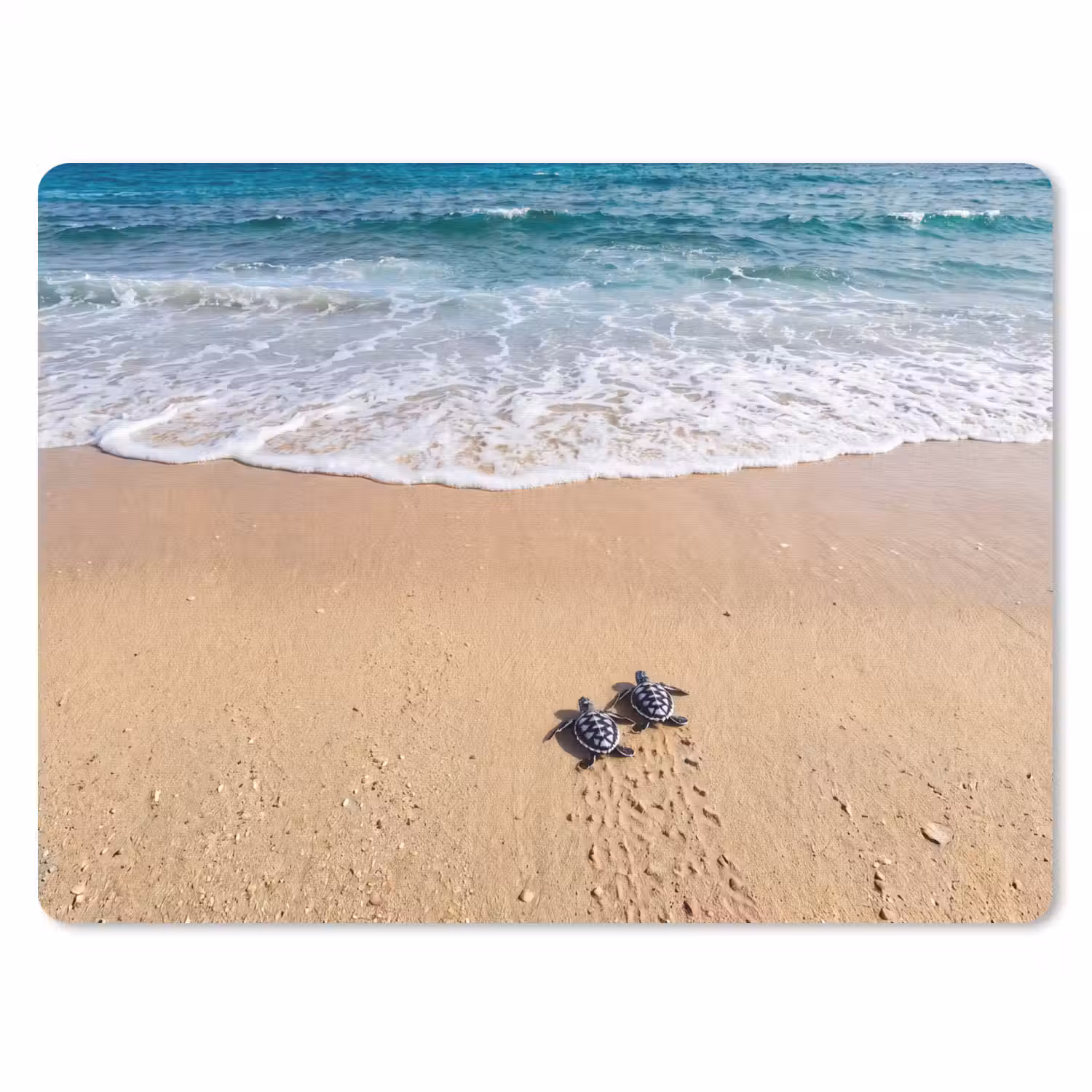 Schildpad - Jong - Strand - Oceaan - Blauw muismat rubber klein -3d