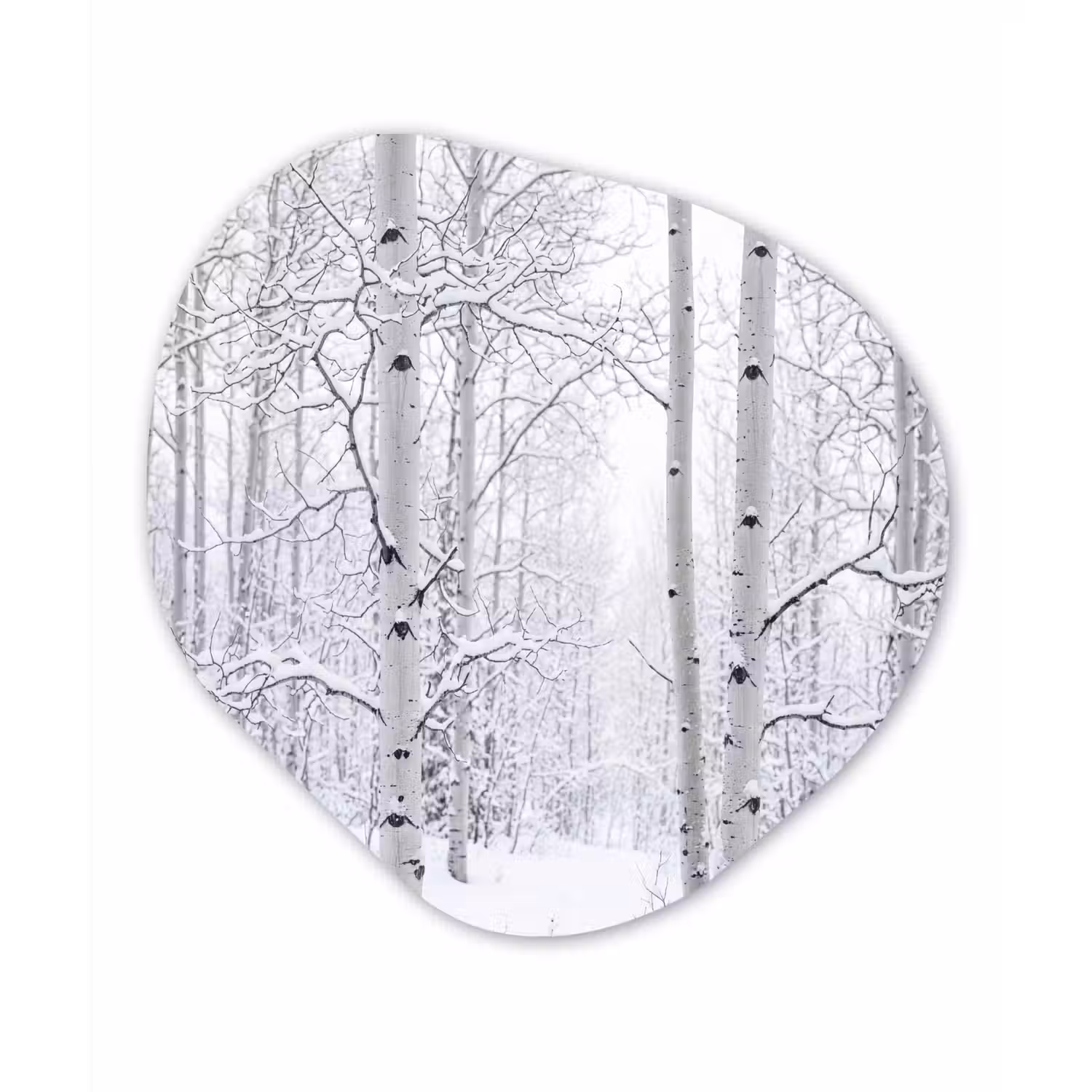 Berkenbomen - Sneeuw - Winter - Bos - Wit Wandcirkel Organisch Forex 3mm klein -3d
