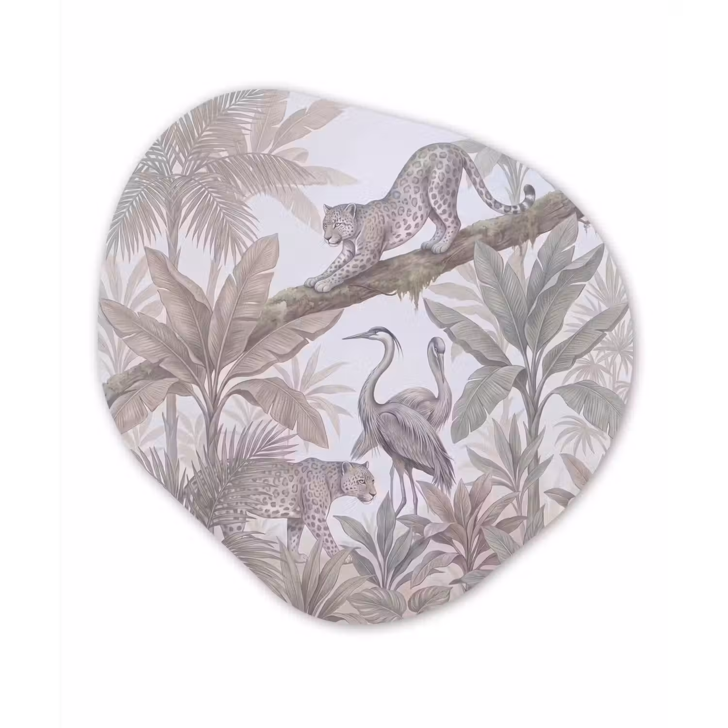 Kat - Vogel - Jungle - Illustratie - Dieren Wandcirkel Organisch Forex 3mm klein -3d