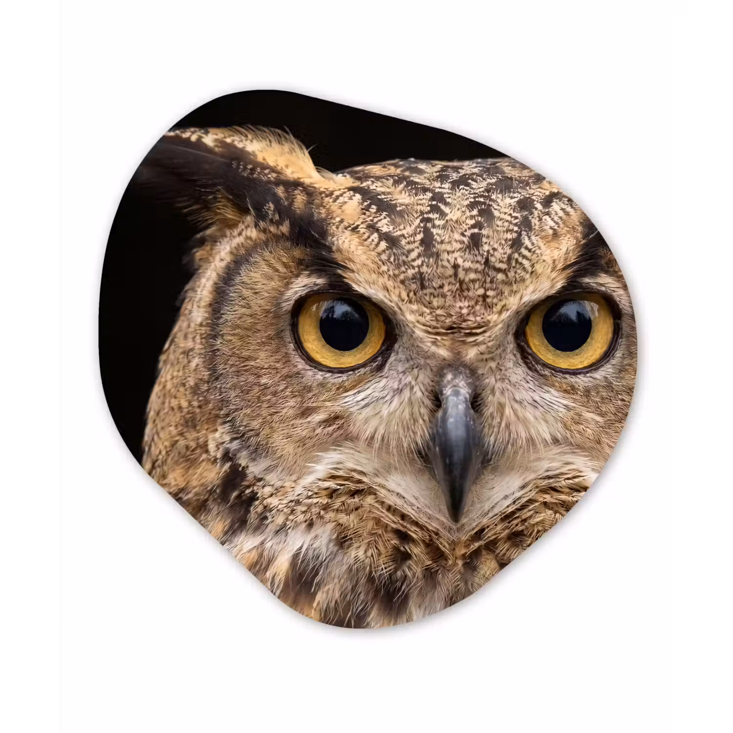 Oehoe - Uil - Portret - Bruin Wandcirkel Organisch Forex 3mm klein -3d