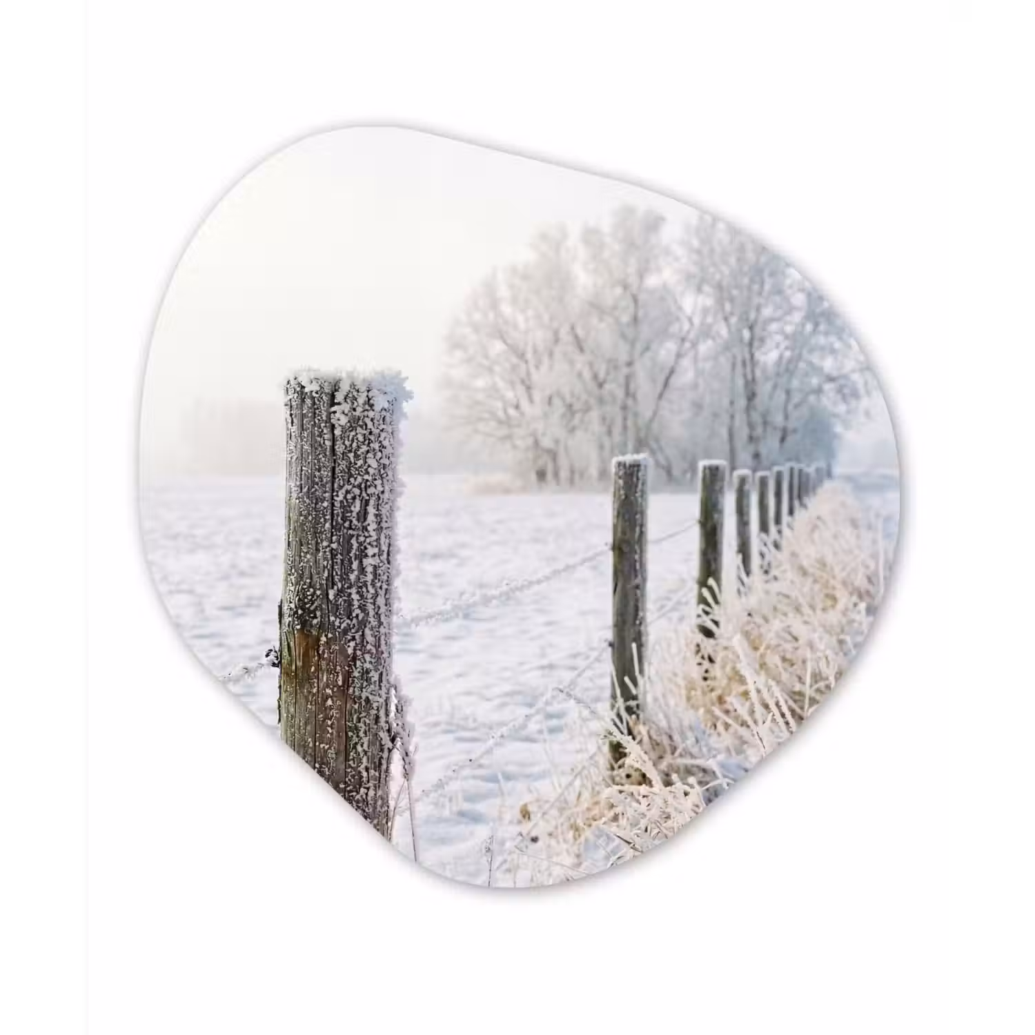 Hek - Sneeuw - Mist - Platteland - Nostalgisch Wandcirkel Organisch Forex 3mm klein -3d