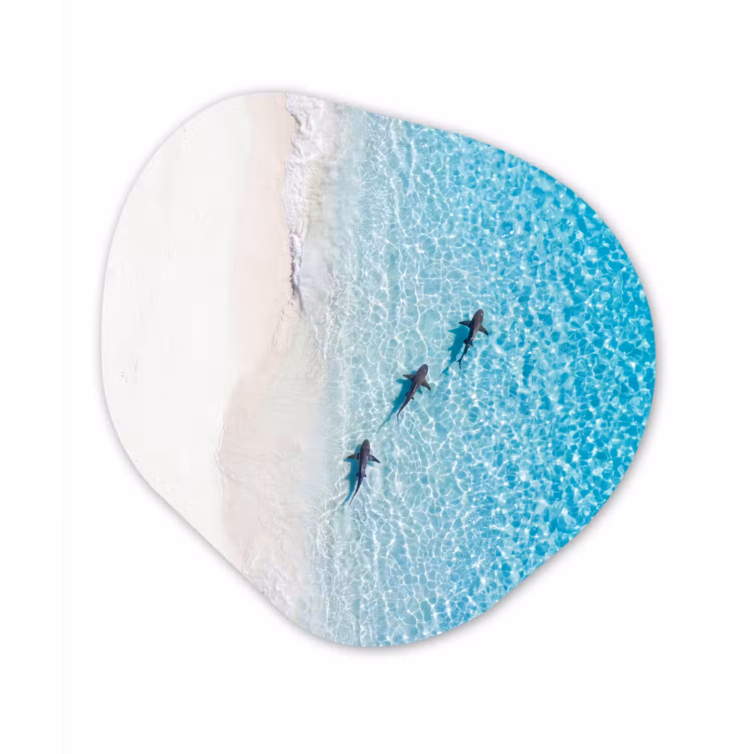 Vis - Oceaan - Strand - Turquoise - Natuur Wandcirkel Organisch Forex 3mm klein -3d
