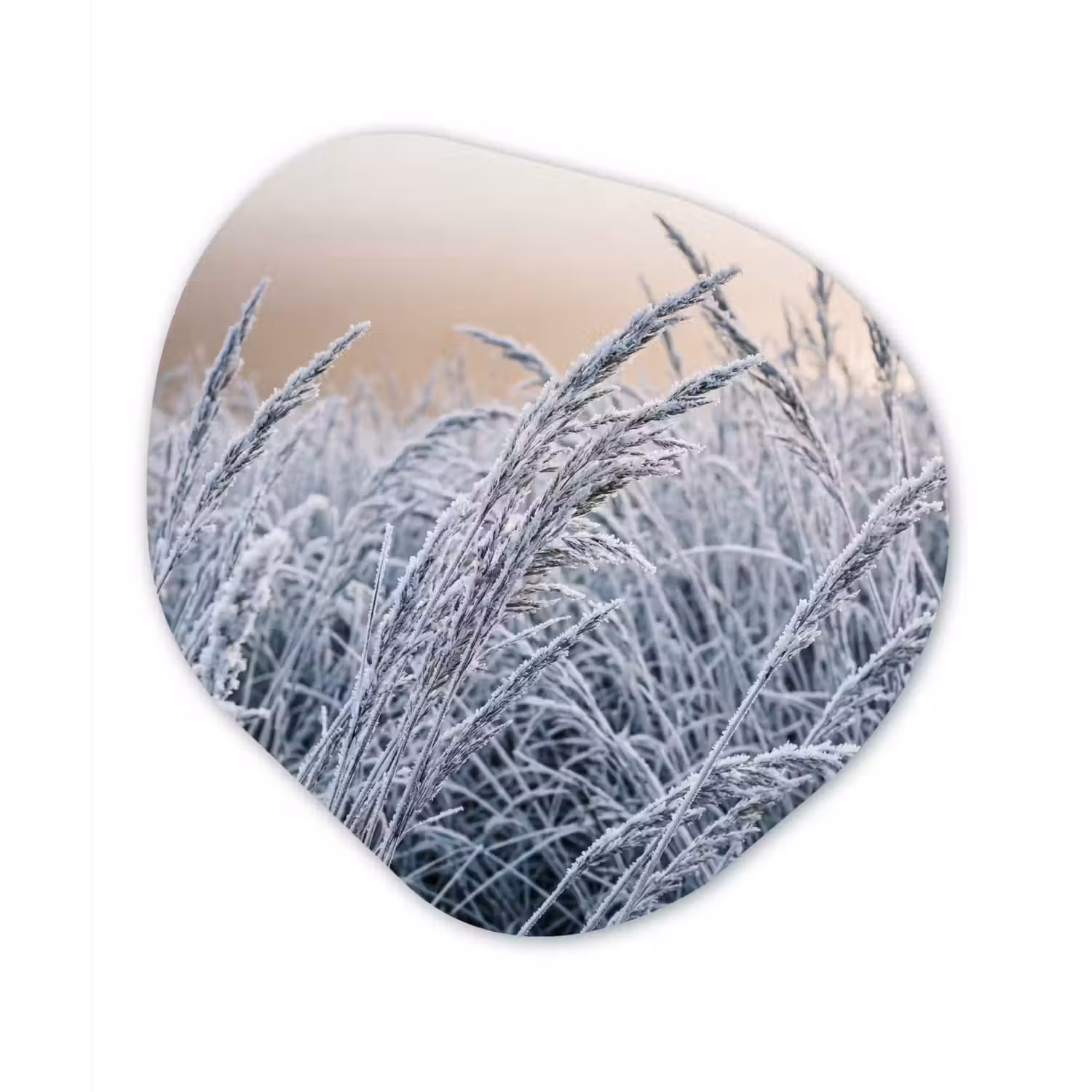 Rijp - Gras - Kristallen - Winter - Minimalistisch Wandcirkel Organisch Forex 3mm klein -3d
