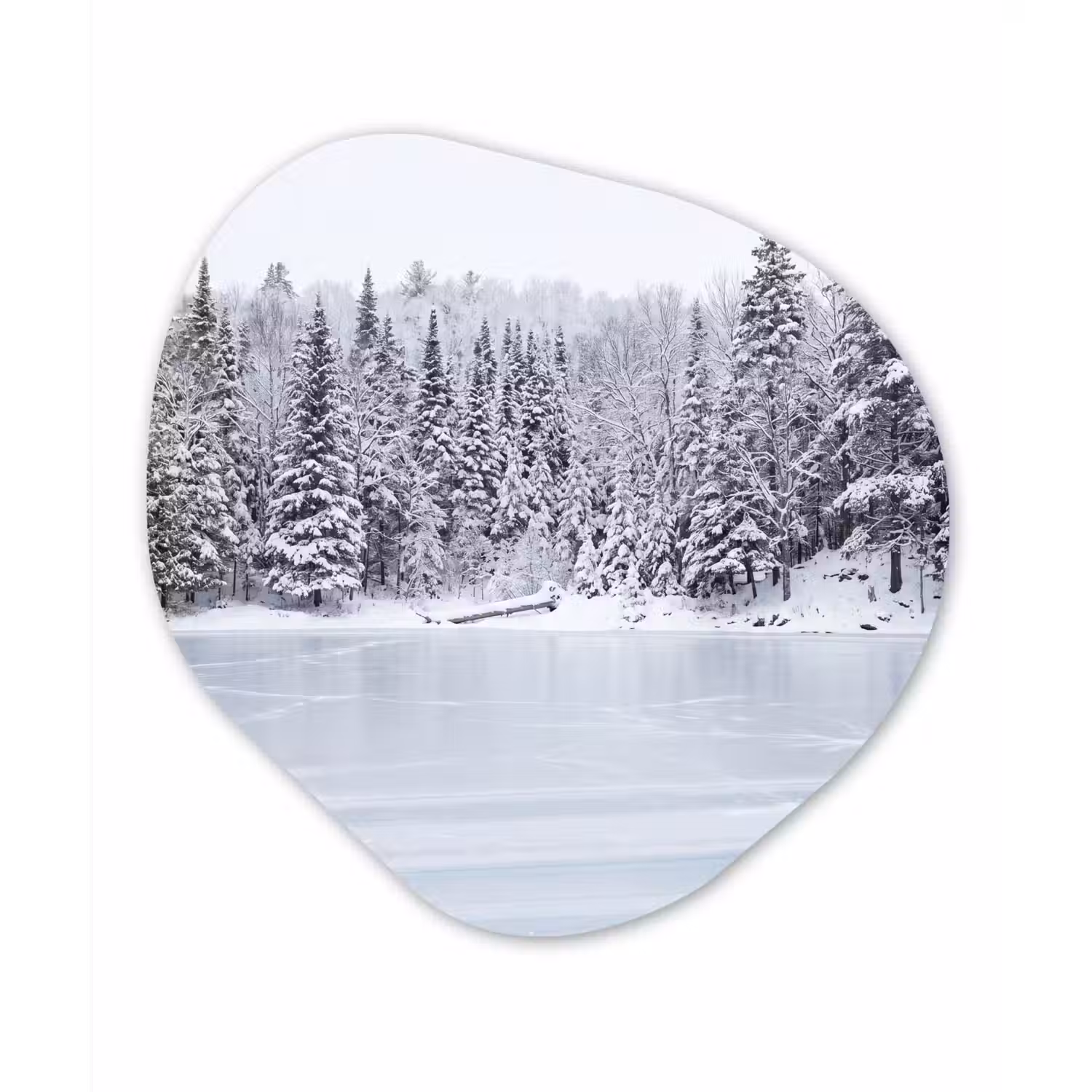 Meer - Dennen - IJs - Winter - Rustgevend Wandcirkel Organisch Forex 3mm klein -3d