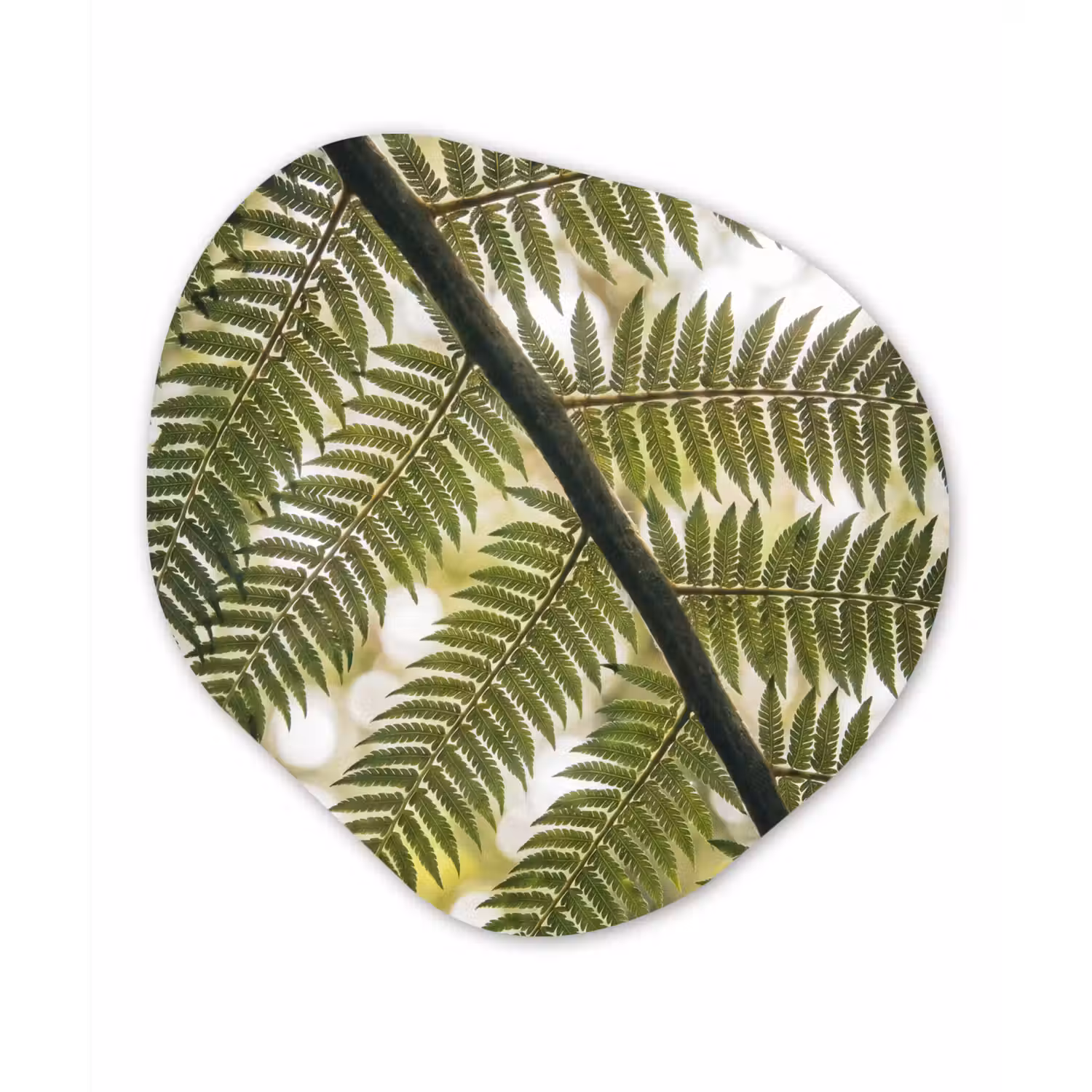 Plant - Blad - Natuur - Groen - Detail Wandcirkel Organisch Forex 3mm klein -3d