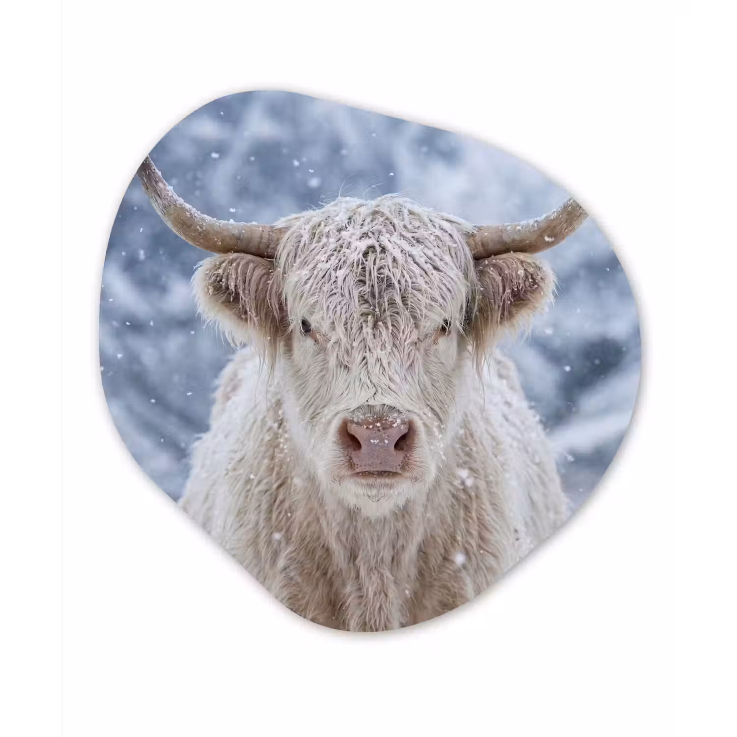 Schotse Hooglander - Sneeuw - Bergen - Winter Wandcirkel Organisch Forex 3mm klein -3d
