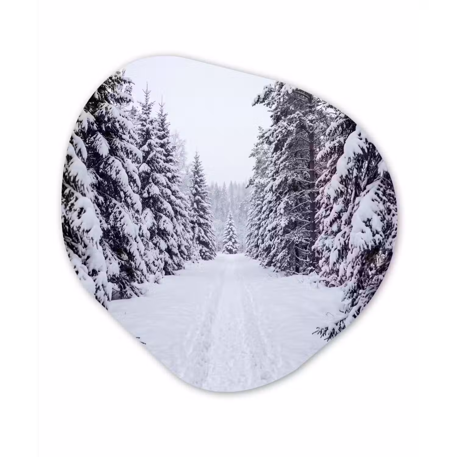 Bos - Winter - Sneeuw - Pad - Natuur Wandcirkel Organisch Aluminium middel -3d