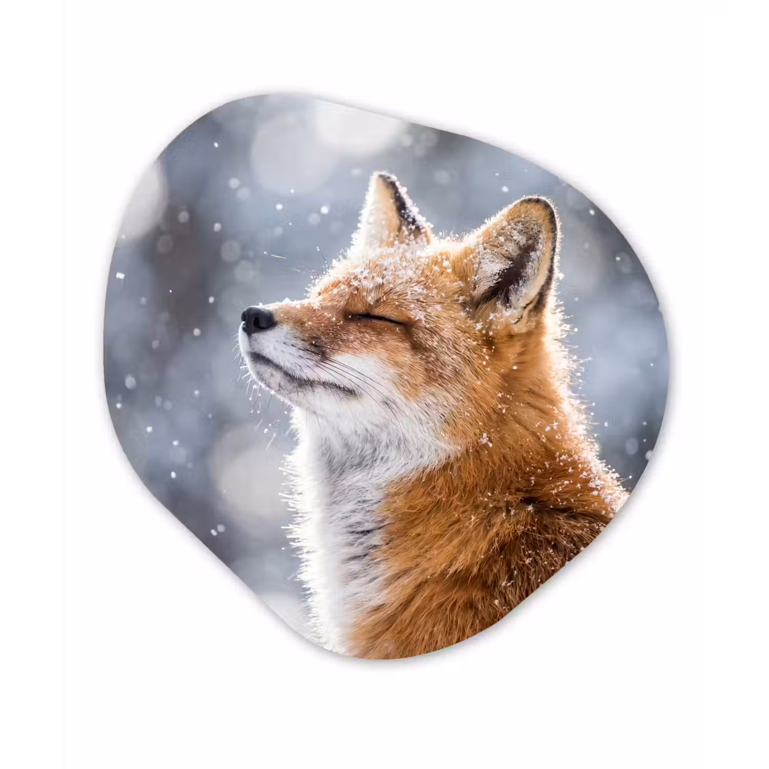 Vos - Sneeuwval - Portret - Winter - Sfeervol Wandcirkel Organisch Aluminium middel -3d