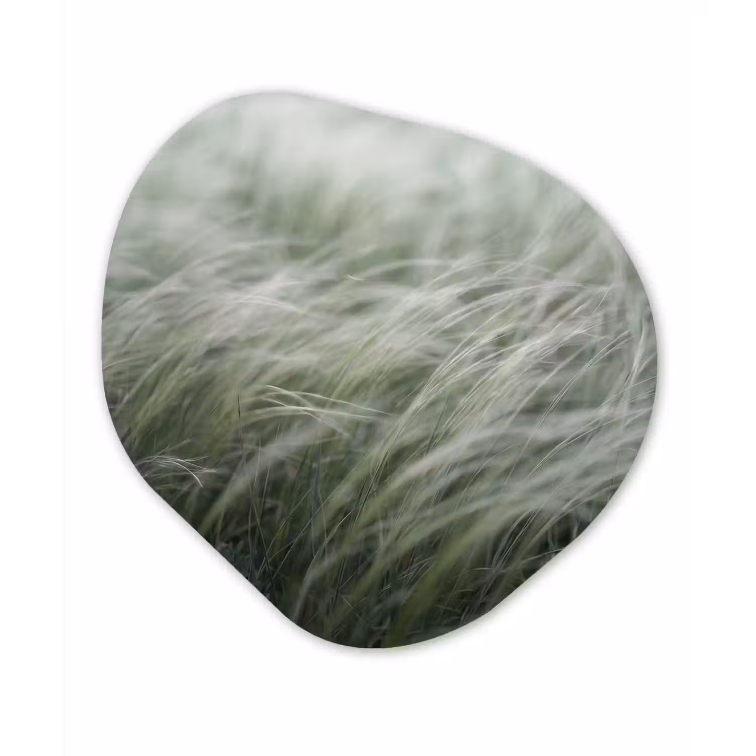 Gras - Wazig - Natuur - Groen - Zacht Wandcirkel Organisch Aluminium middel -3d