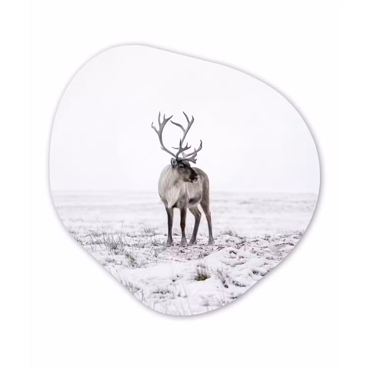 Rendier - Gewei - Sneeuw - Winter Wandcirkel Organisch Aluminium middel -3d
