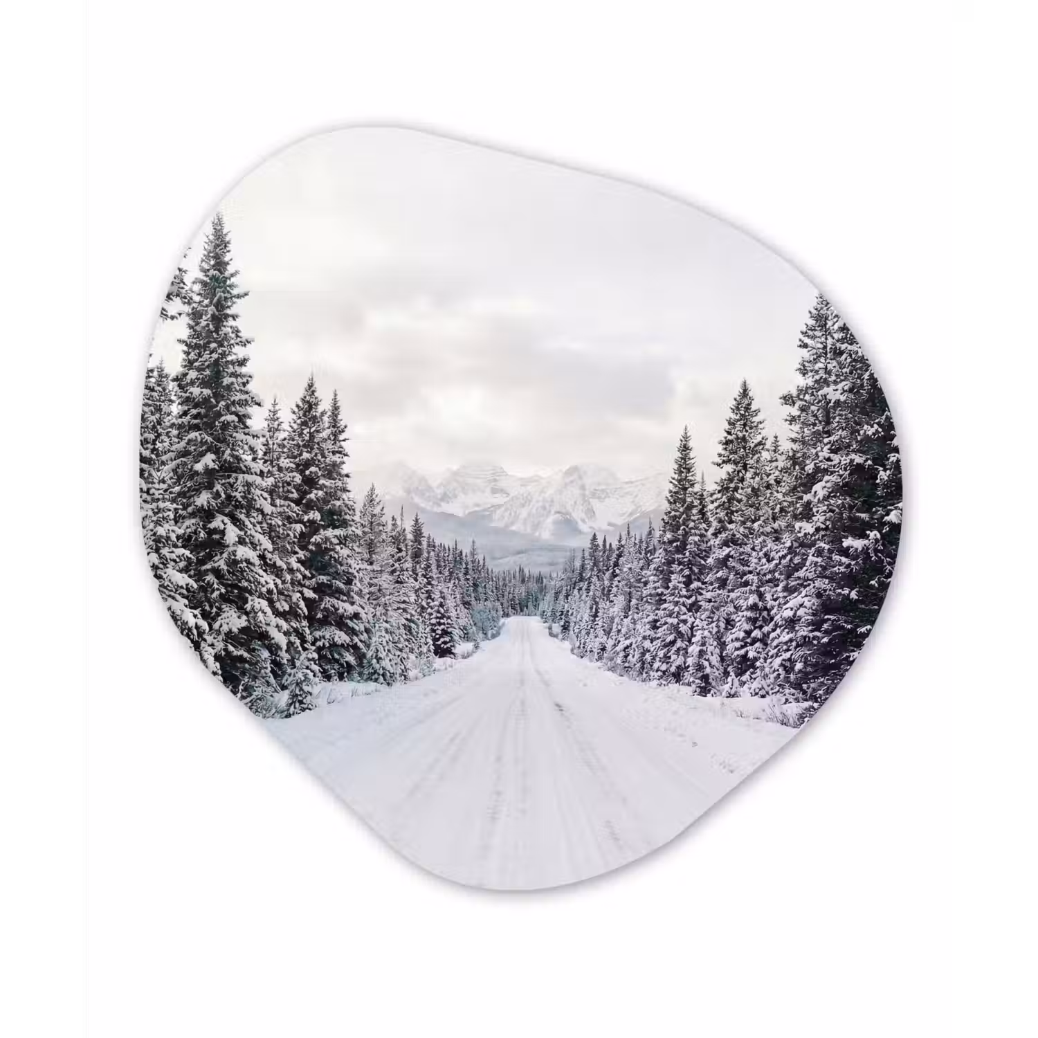 Weg - Sneeuw - Naaldbos - Winter - Avontuurlijk Wandcirkel Organisch Aluminium middel -3d