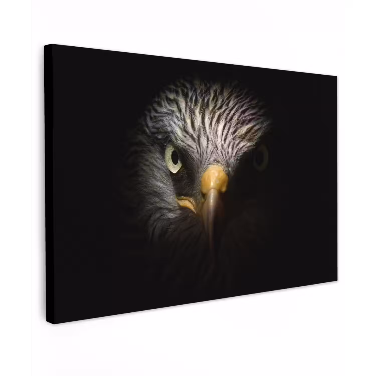 Vogel - Adelaar - Roofvogels - Oog - Snavel - Licht Tuinposter op houten frame 2 cm dik klein -3d