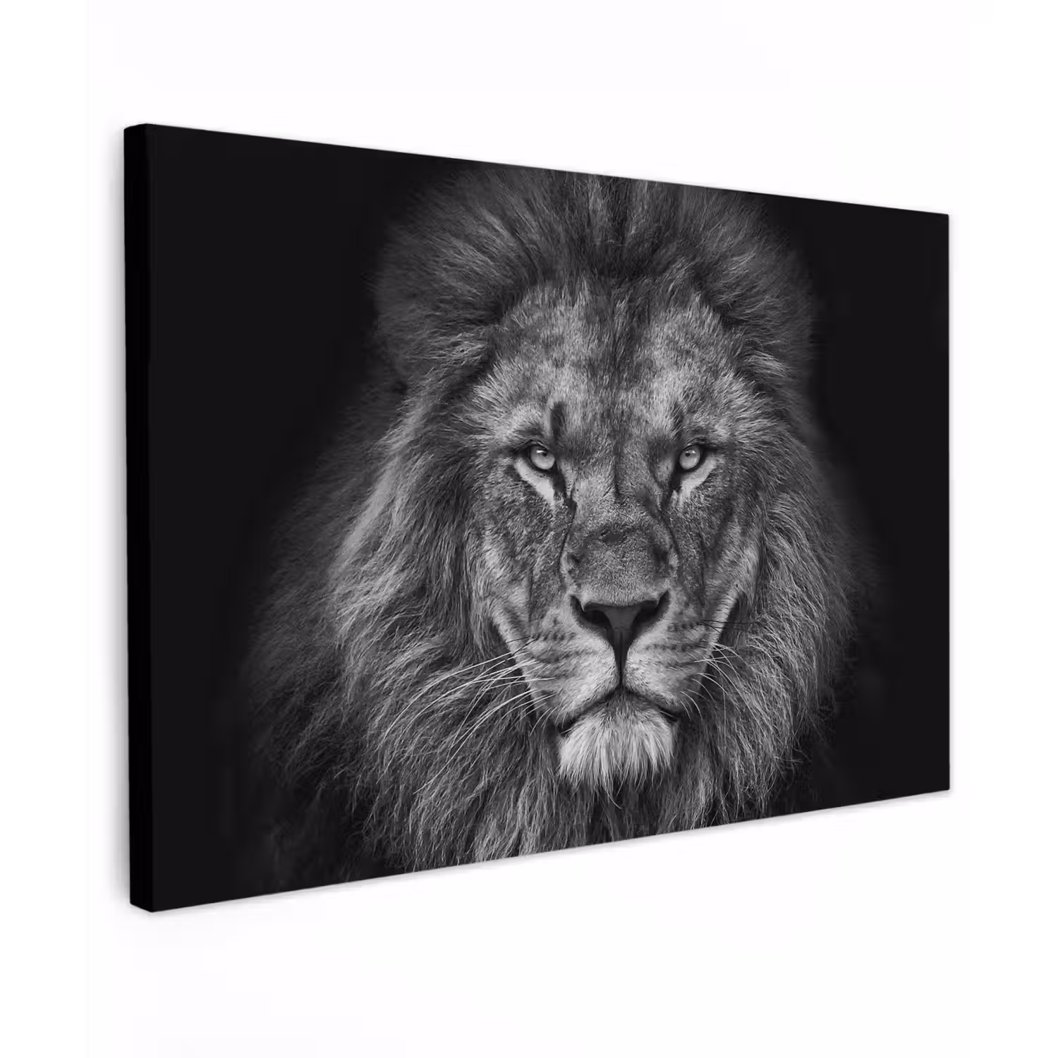 Zwart-wit portret van een leeuw Tuinposter op houten frame 2 cm dik klein -3d