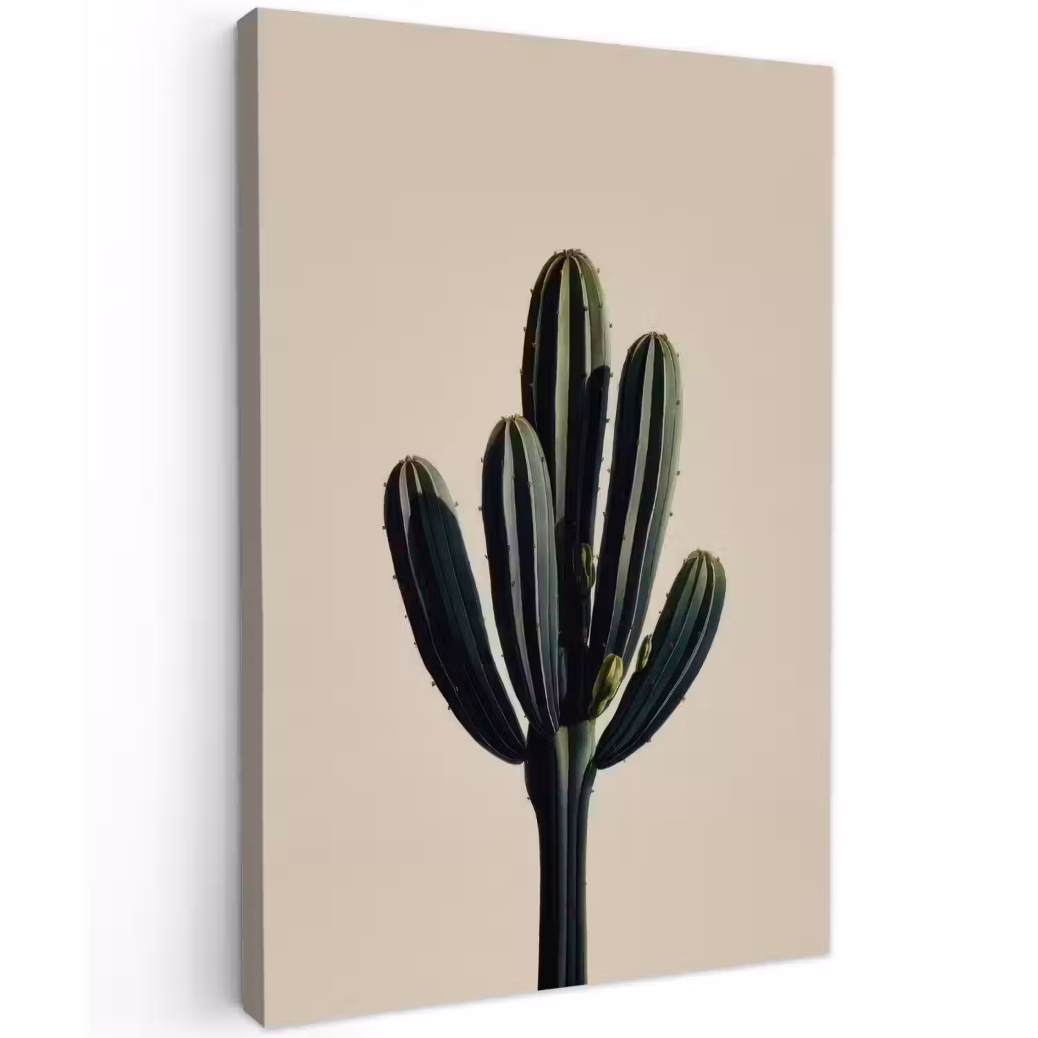 Cactus - Subtiel - Groen Tuinposter op houten frame 2 cm dik klein -3d