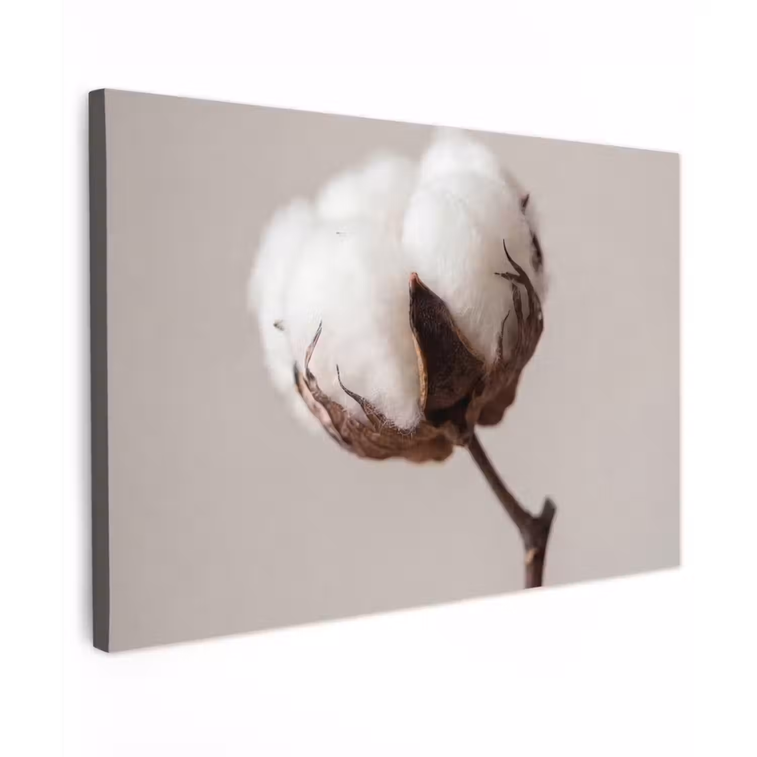 Katoenbol - Minimalistisch - Wit Tuinposter op houten frame 2 cm dik klein -3d