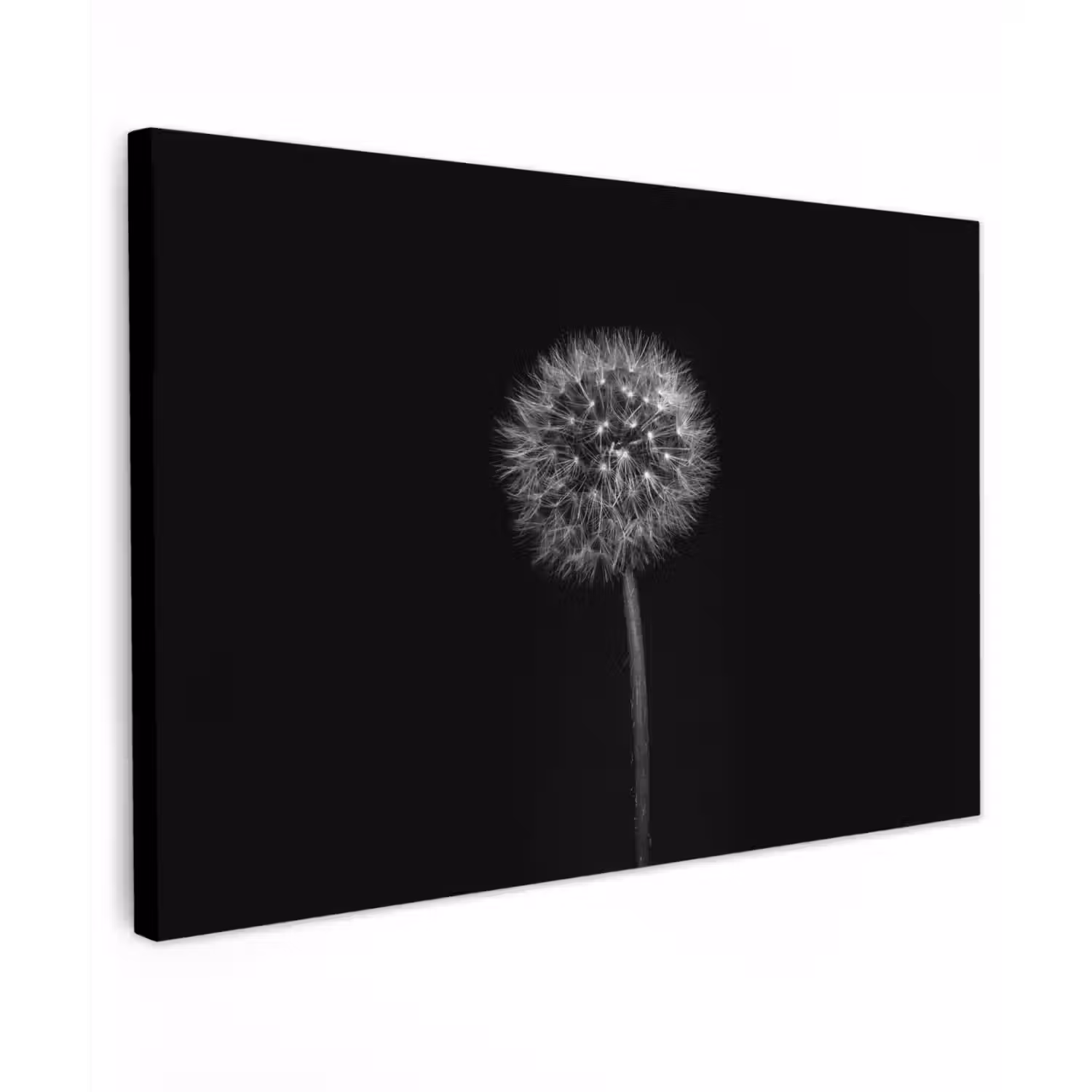Paardenbloem - Zwart - Bloemen - Botanisch Tuinposter op houten frame 2 cm dik klein -3d