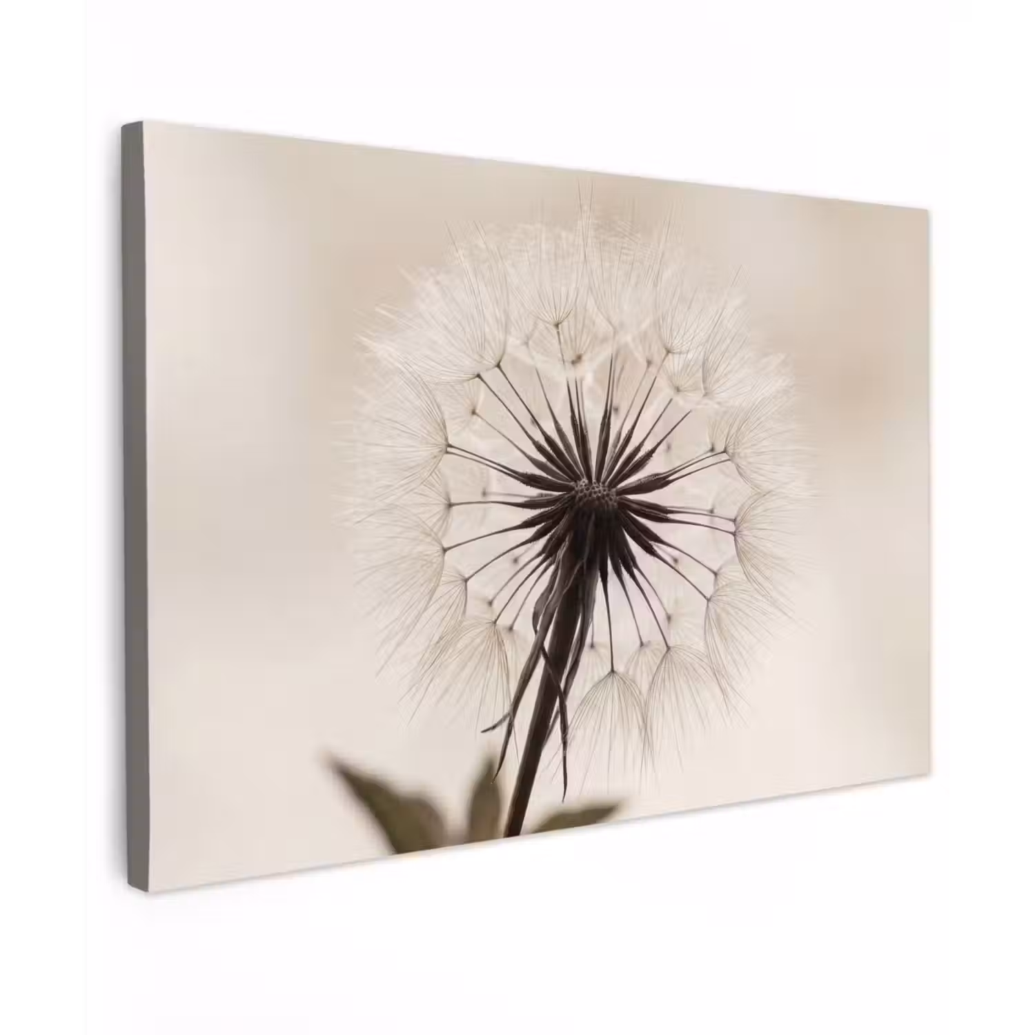 Paardenbloem - Minimalistisch - Wit Tuinposter op houten frame 2 cm dik klein -3d