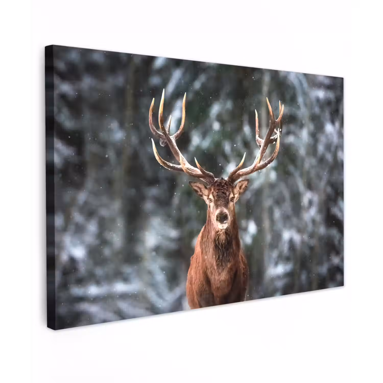 Hert - Winter - Sneeuw - Bos - Natuur - Dier Tuinposter op houten frame 2 cm dik klein -3d