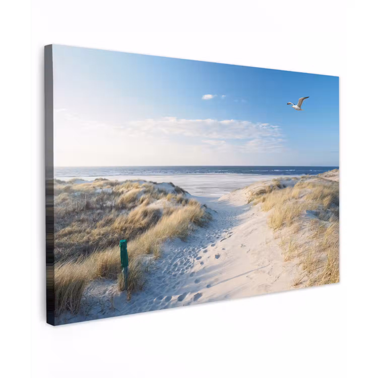Duin - Meeuw - Strand - Zee - Zon Tuinposter op houten frame 2 cm dik klein -3d
