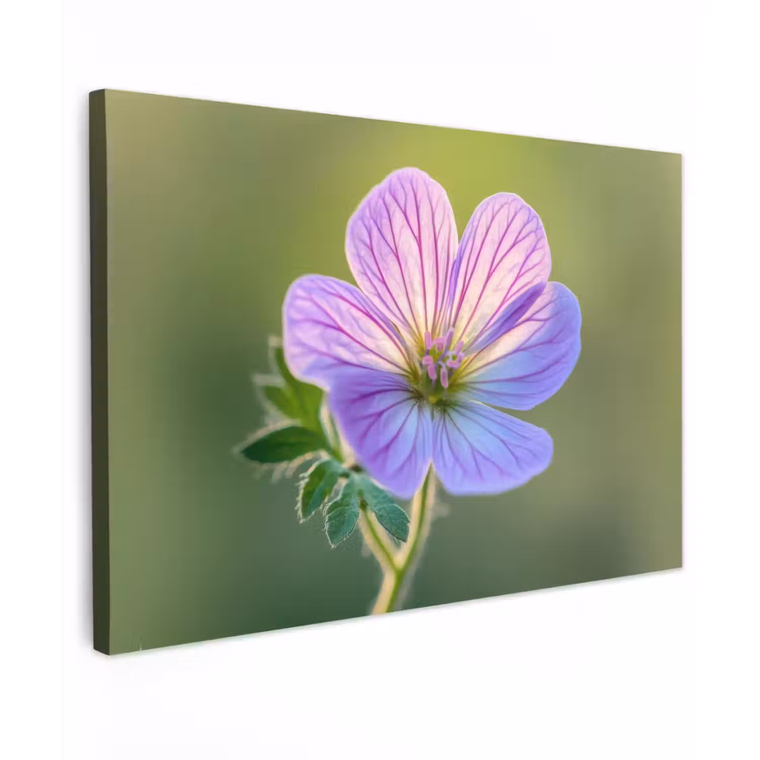 Bloem - Close up - Paars Tuinposter op houten frame 2 cm dik klein -3d