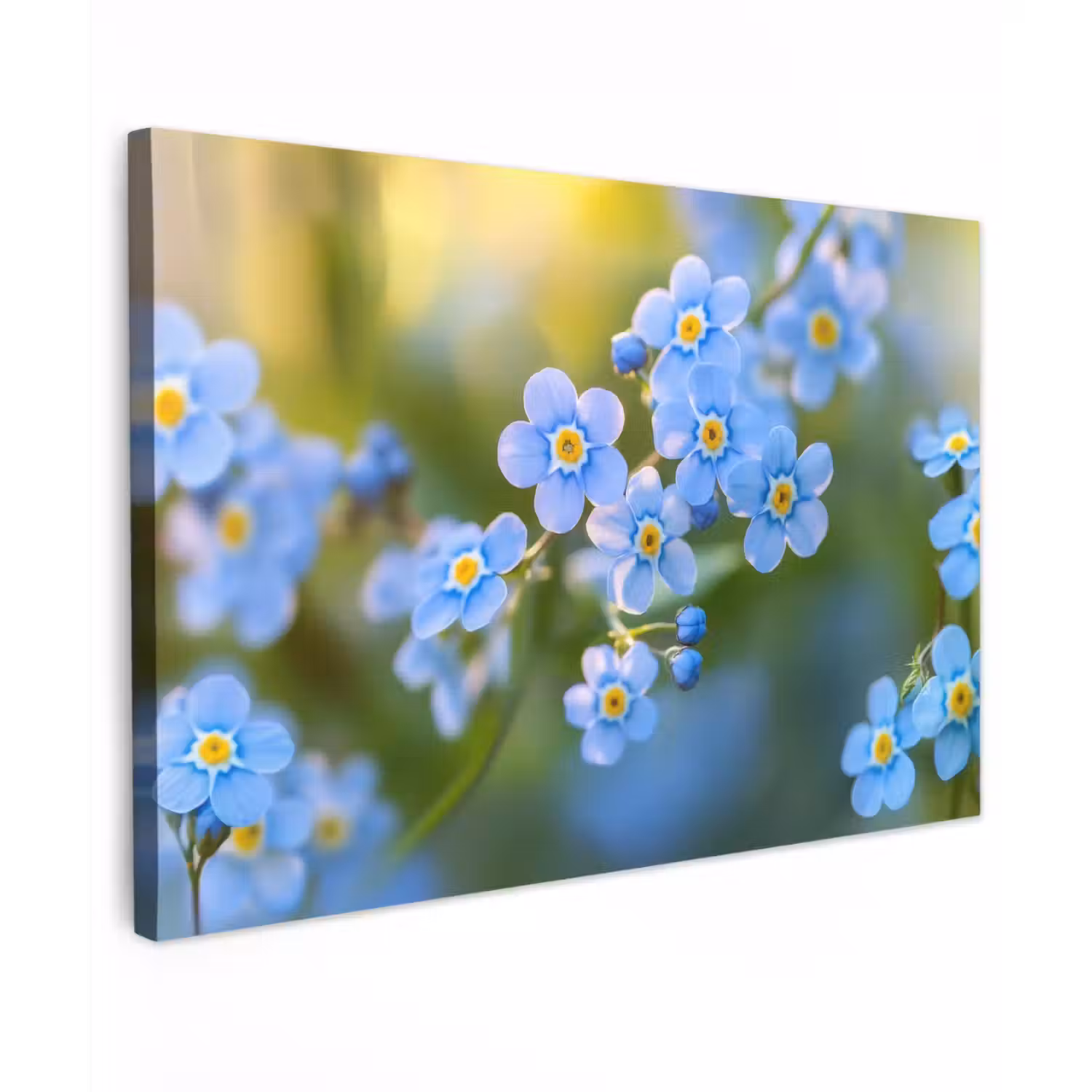 Bloemetjes - Blauw - Vergeet mij nietjes Tuinposter op houten frame 2 cm dik klein -3d