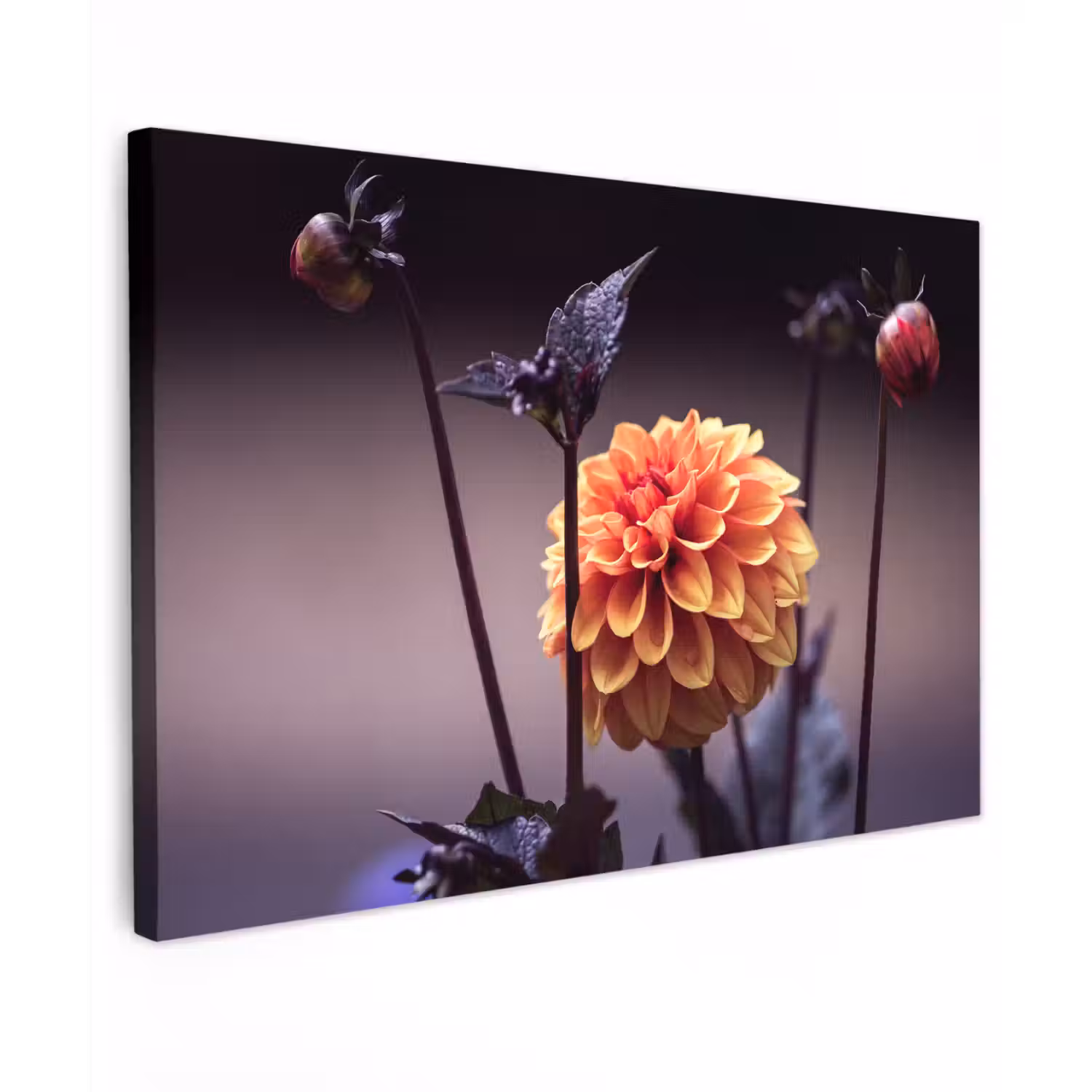 Bloemen - Chrysant - Macro - Planten Tuinposter op houten frame 2 cm dik klein -3d