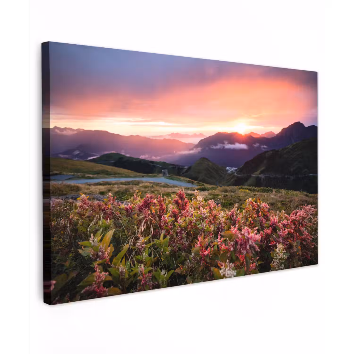 Bloemen - Bergen - Landschap - Nacht - Lucht - Roze Tuinposter op houten frame 2 cm dik klein -3d