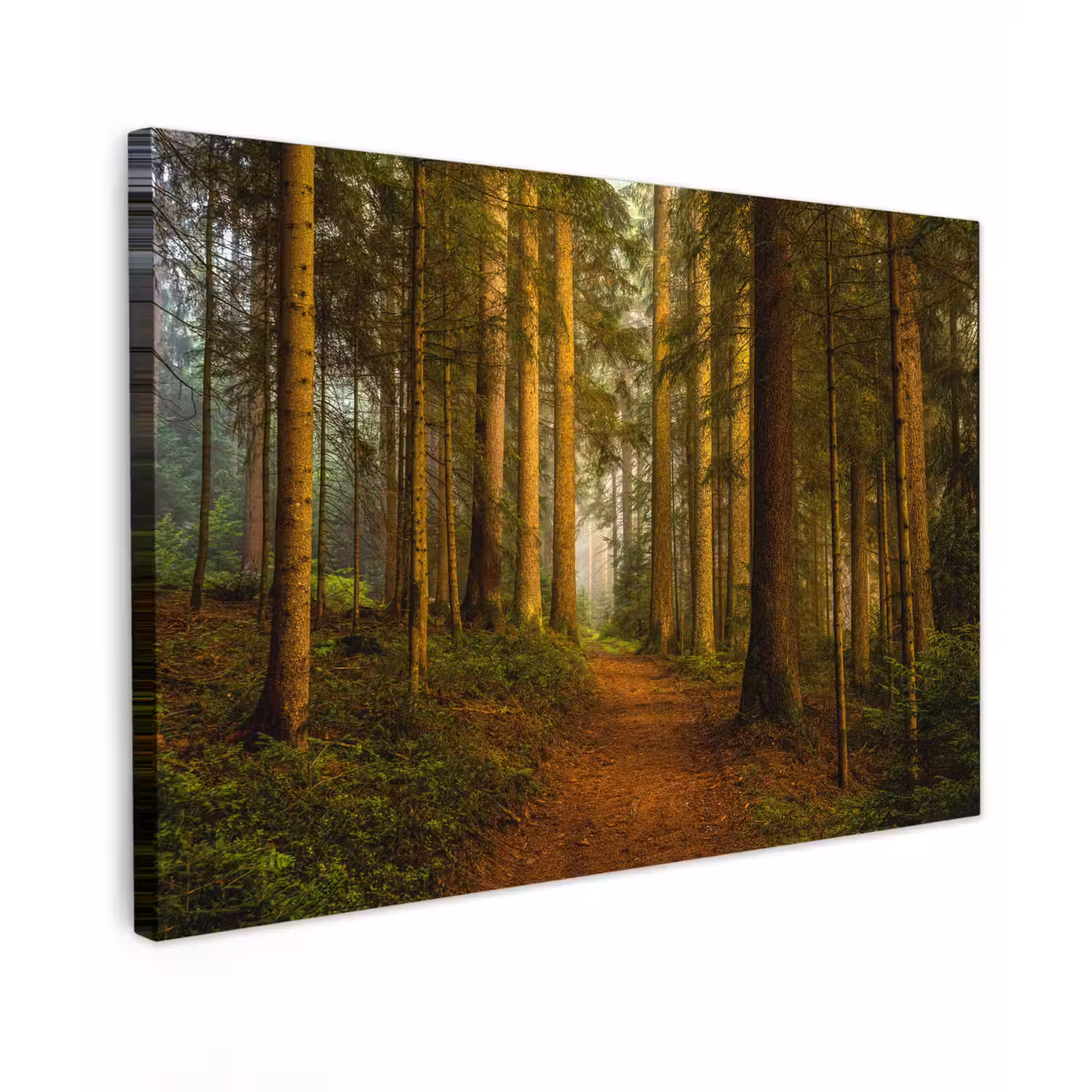 Bos - Natuur - Bomen - Landschap - Bladeren Tuinposter op houten frame 2 cm dik klein -3d