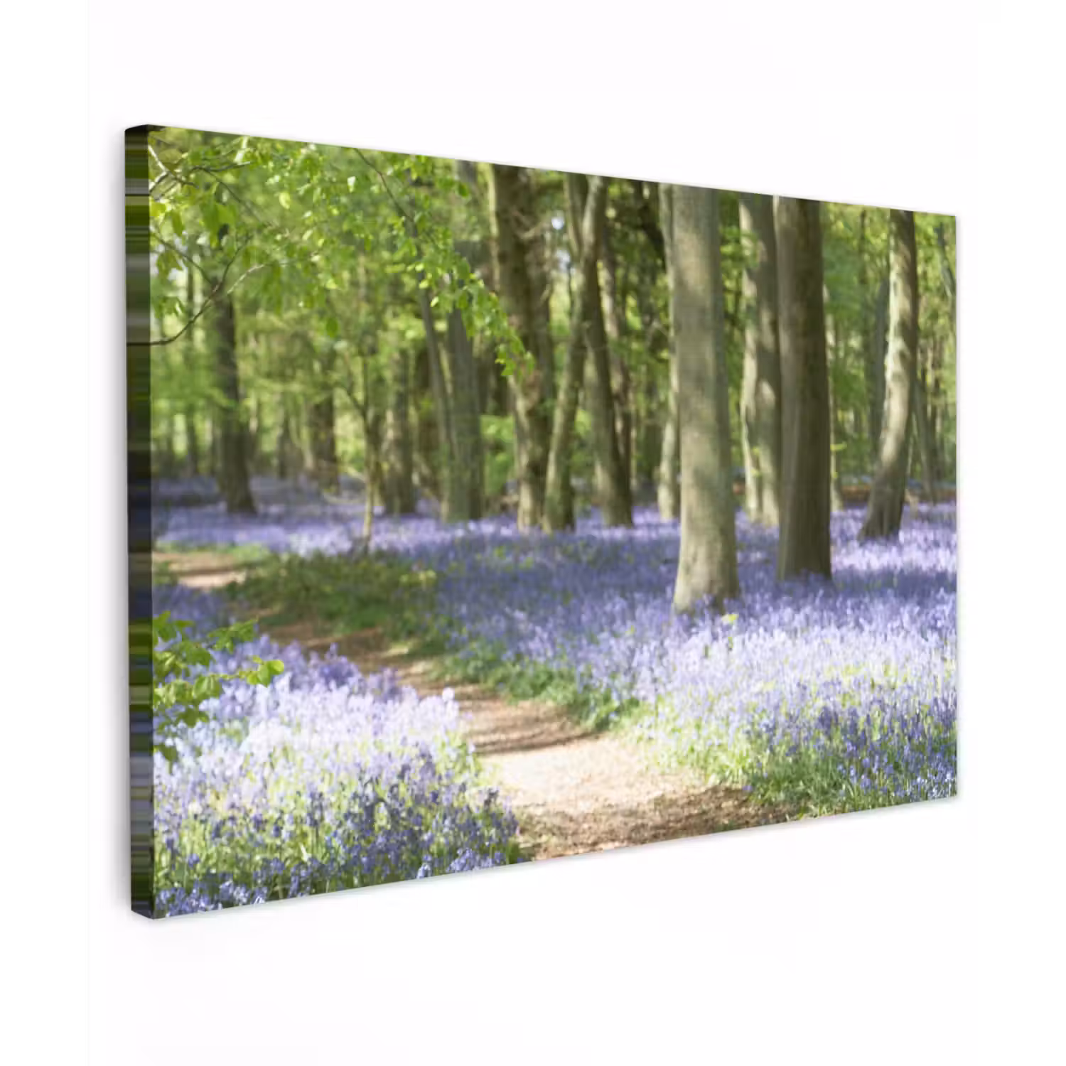 Bos - Pad - Bloemen - Paars - Groen - Natuur Tuinposter op houten frame 2 cm dik klein -3d