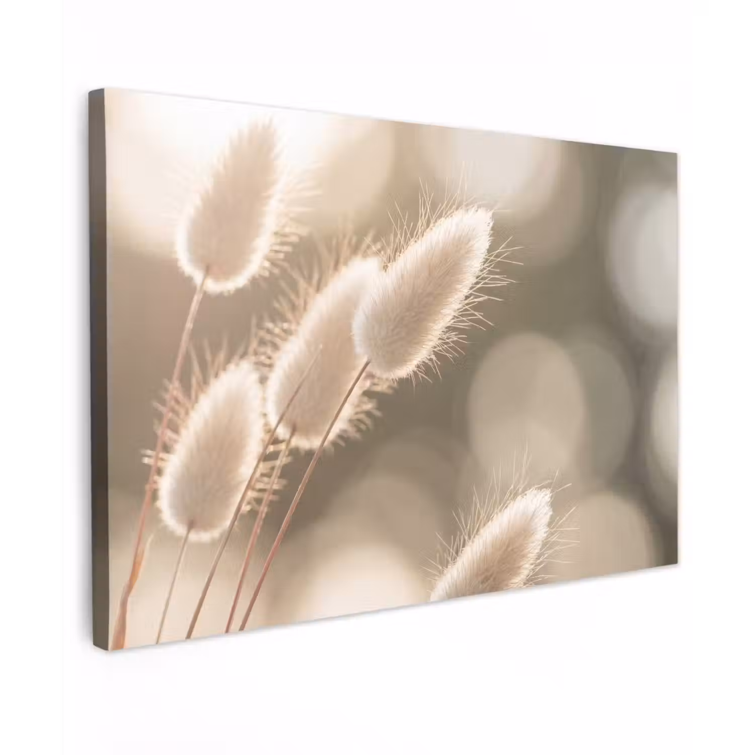 Hazestaartgras - Wit - Zonlicht Tuinposter op houten frame 2 cm dik klein -3d