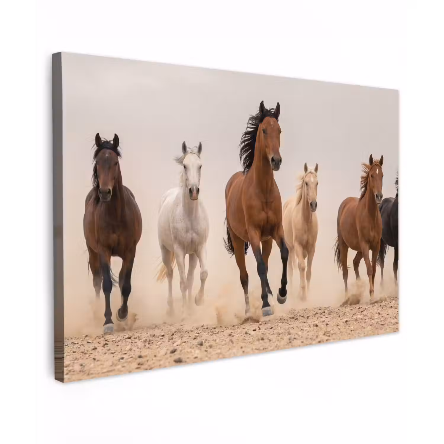 Kudde paarden - Stofwolk - Bruin - Zwart Tuinposter op houten frame 2 cm dik klein -3d