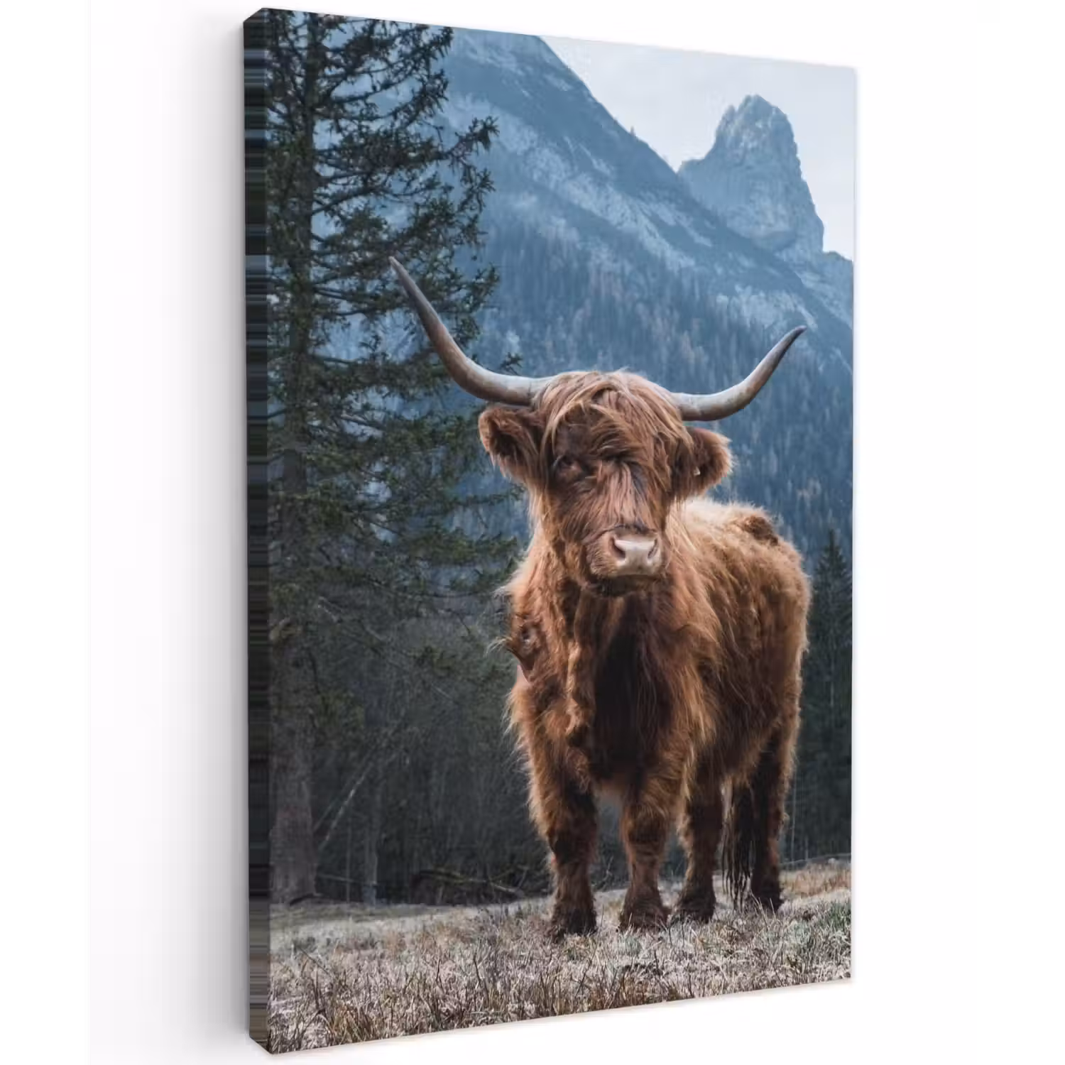 Hooglander voor Bergen Tuinposter op houten frame 2 cm dik klein -3d