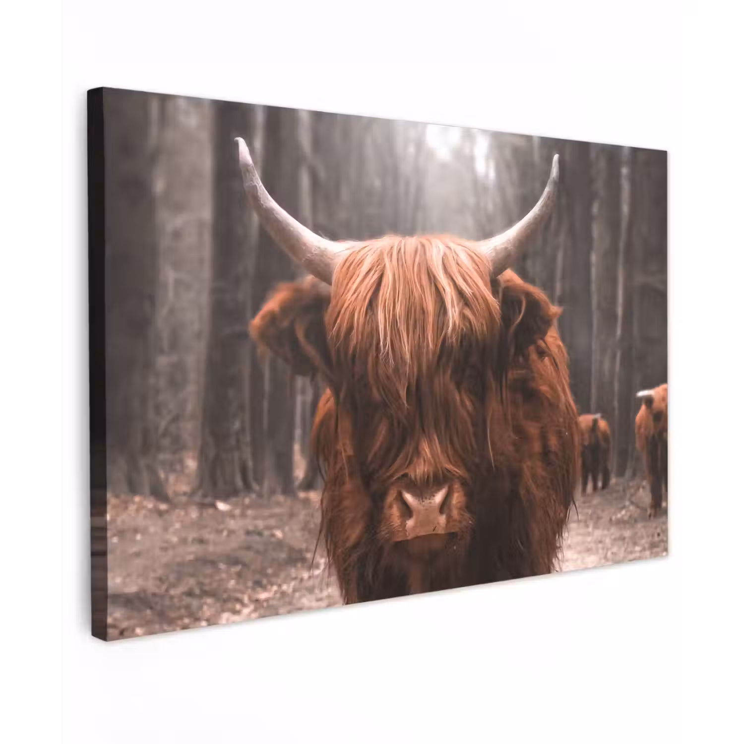 Hooglander in het Bos Tuinposter op houten frame 2 cm dik klein -3d