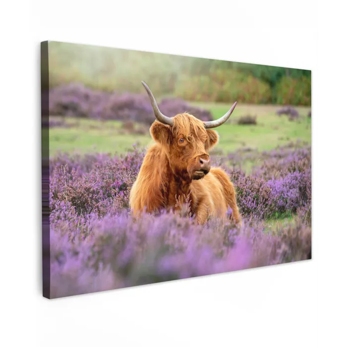 Hooglander in de Heide Tuinposter op houten frame 2 cm dik klein -3d