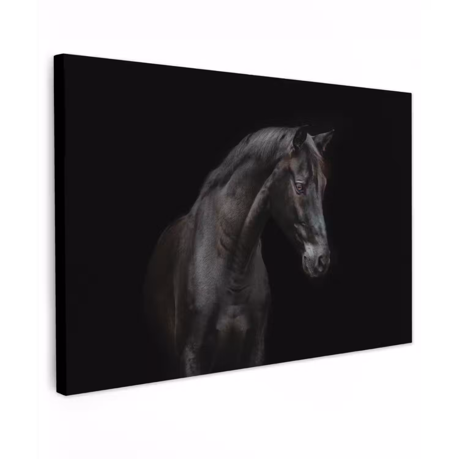 Paard - Dieren - Zwart - Portret Tuinposter op houten frame 2 cm dik klein -3d