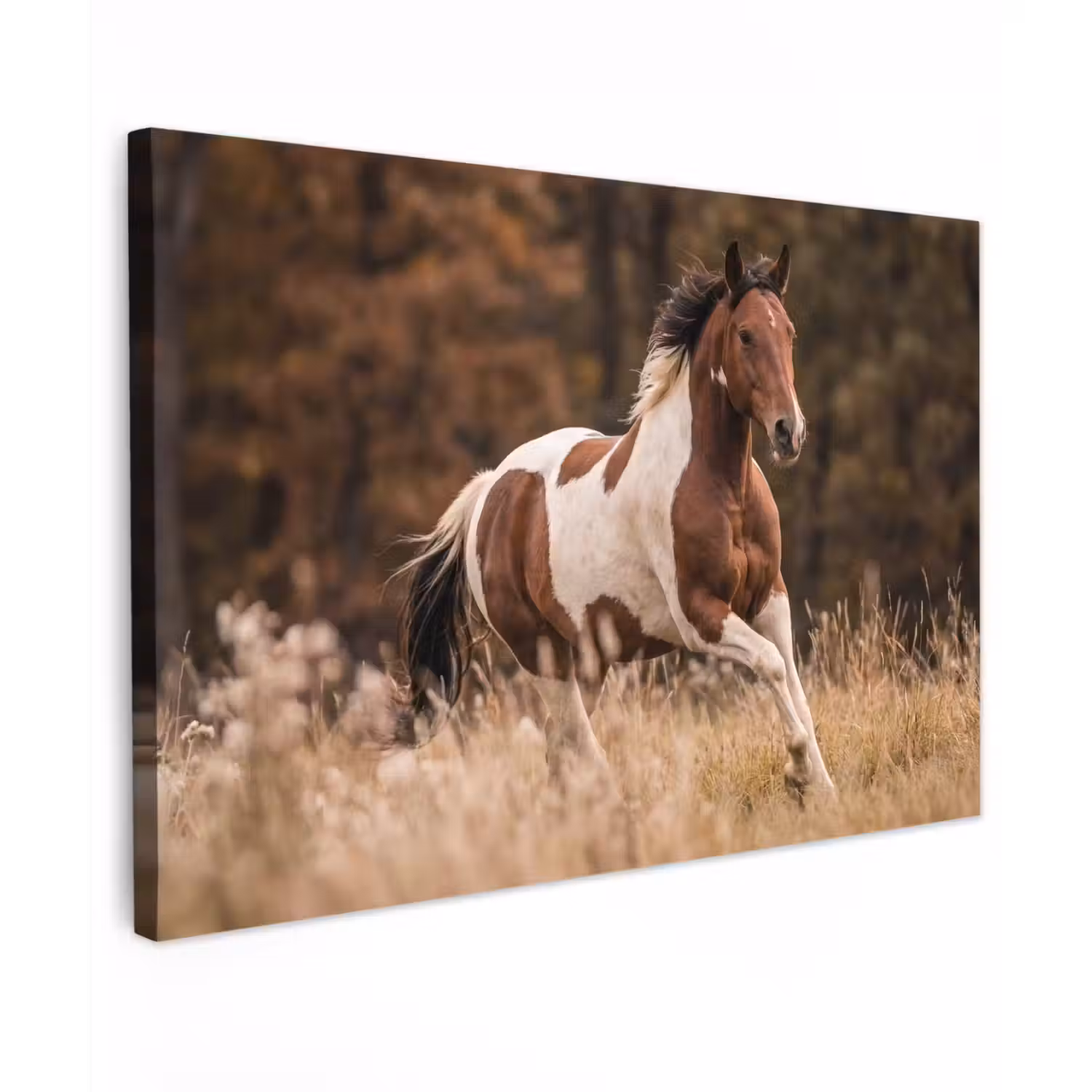 Paard - Bruin - Gras Tuinposter op houten frame 2 cm dik klein -3d