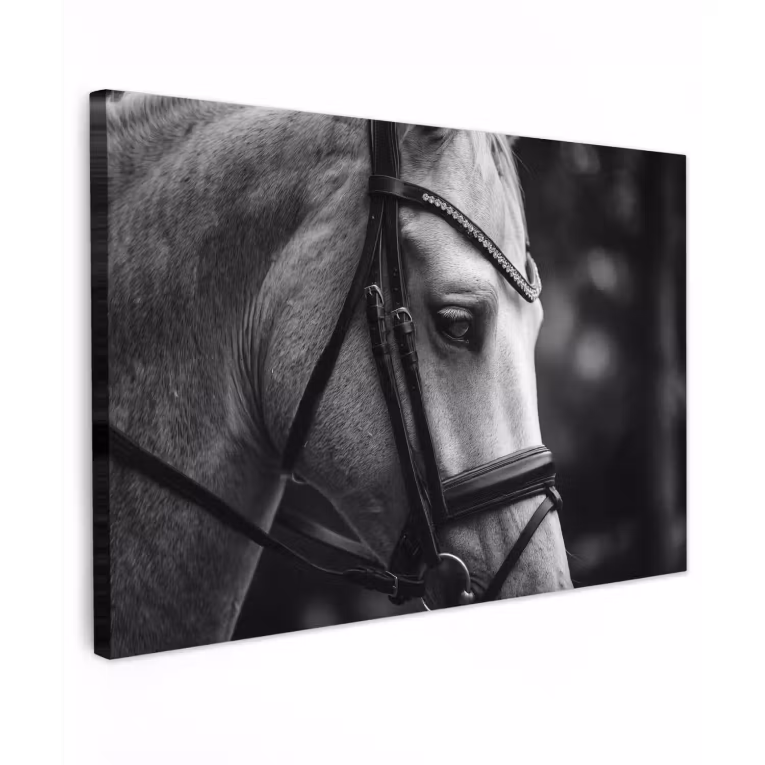 Paard - Schimmel - Portret Tuinposter op houten frame 2 cm dik klein -3d