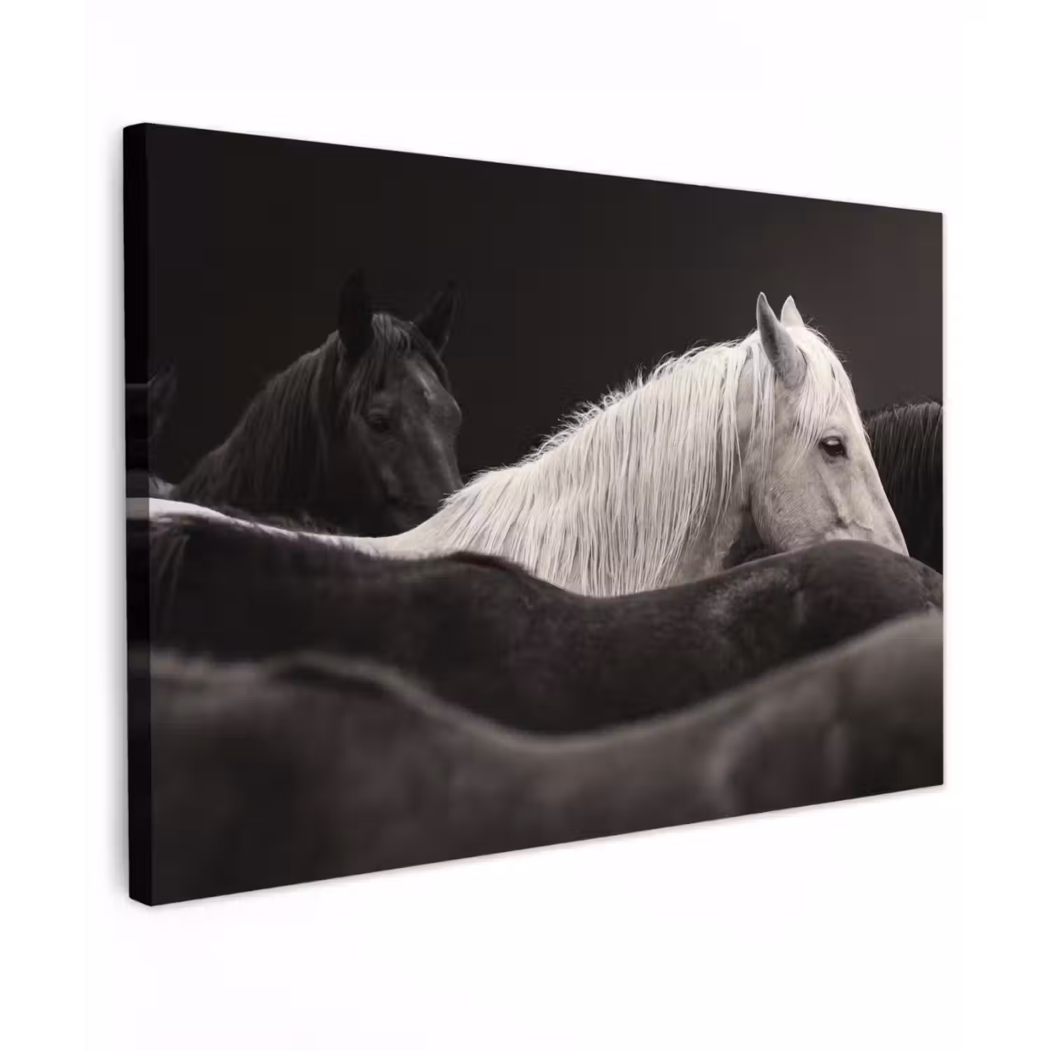 Paarden - Zwart - Wit - Kudde Tuinposter op houten frame 2 cm dik klein -3d
