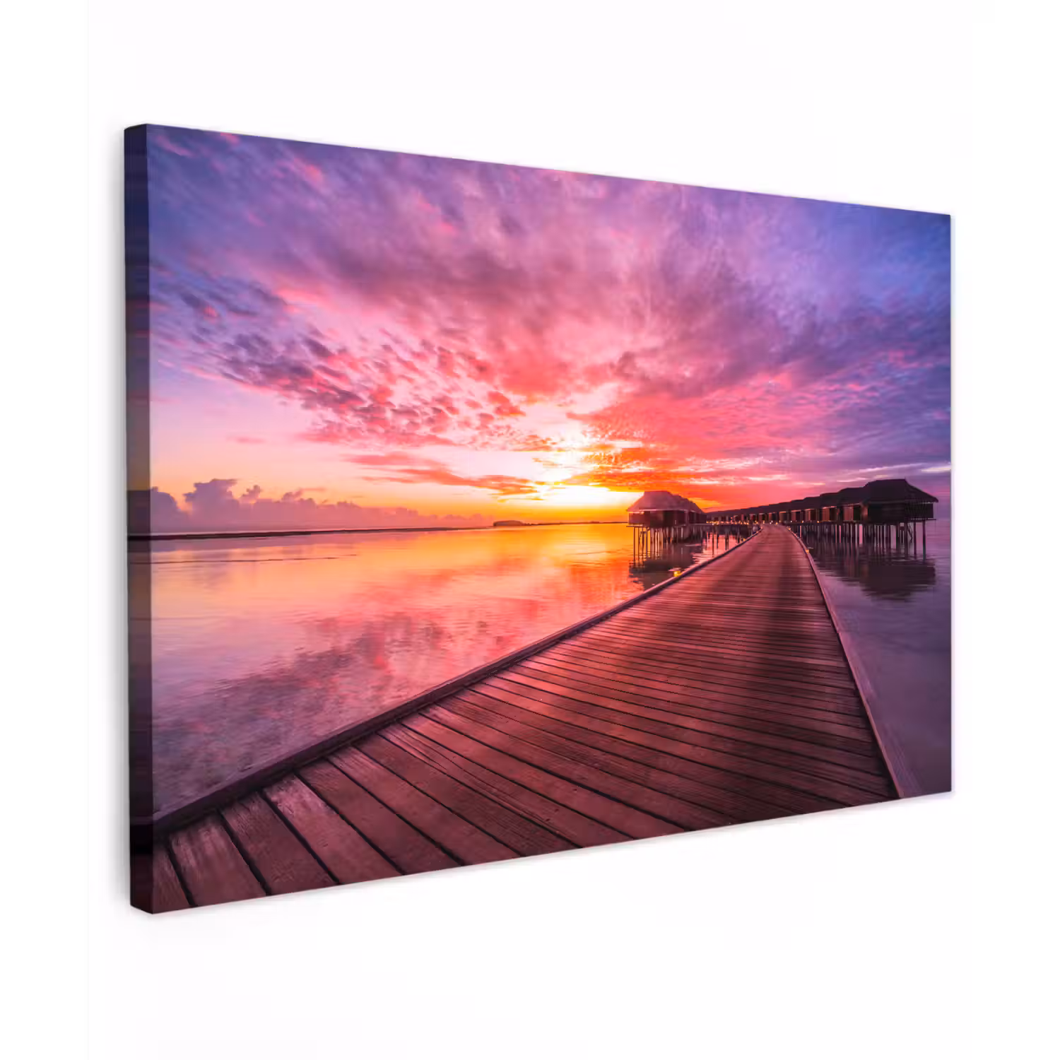 Steiger - Water - Zon - Roze - Horizon Tuinposter op houten frame 2 cm dik klein -3d