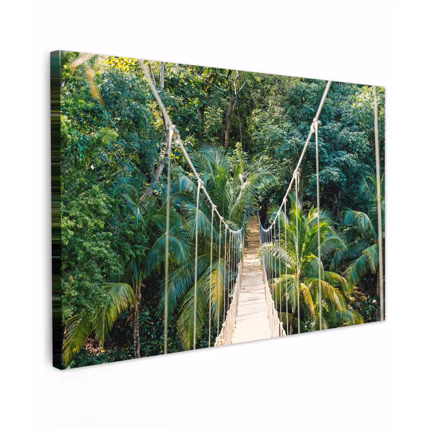 Jungle - Palmboom - Brug - Natuur - Planten Tuinposter op houten frame 2 cm dik klein -3d