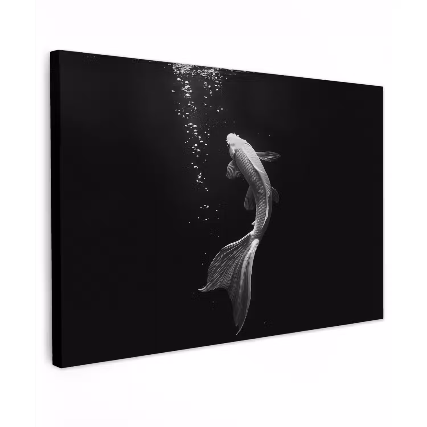 Koi - Vis - Wit - Zwart Tuinposter op houten frame 2 cm dik klein -3d