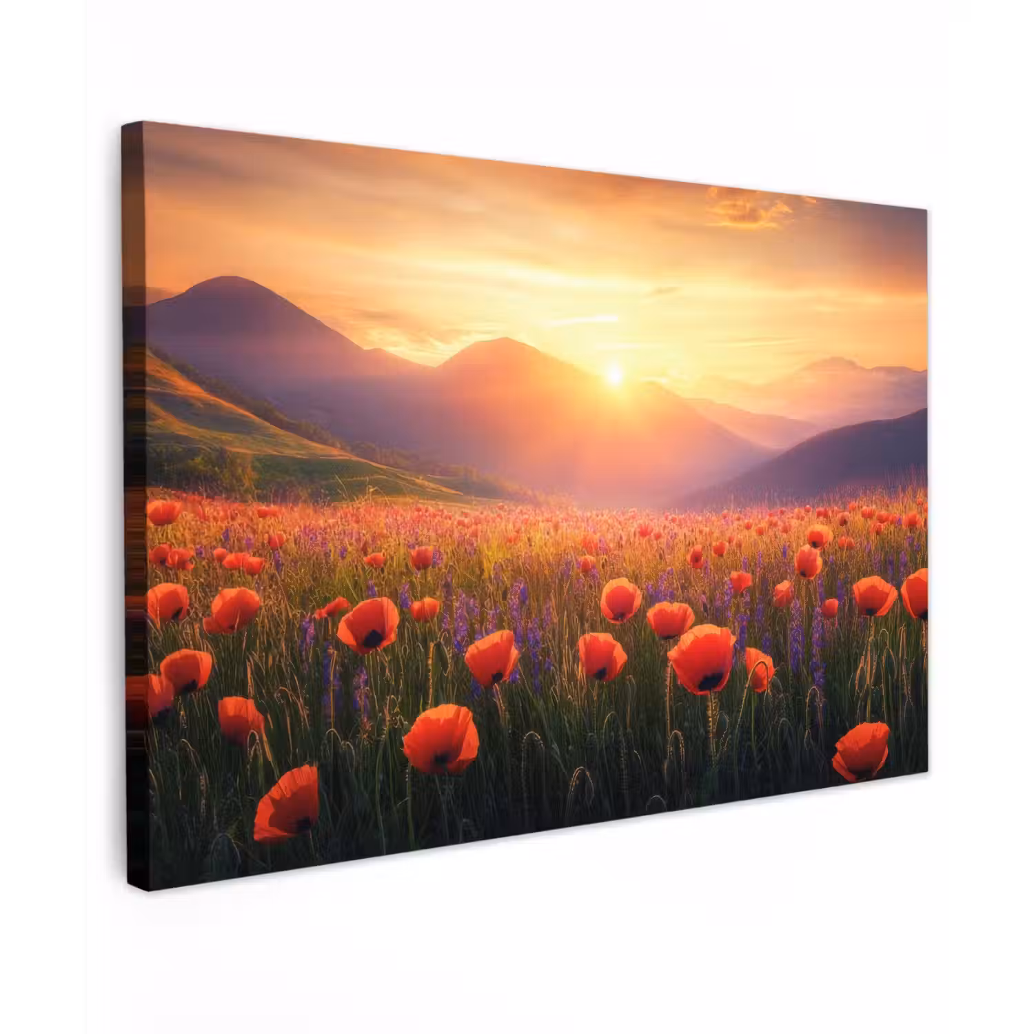 Landschap - Zonsondergang - Bloemenveld Tuinposter op houten frame 2 cm dik klein -3d