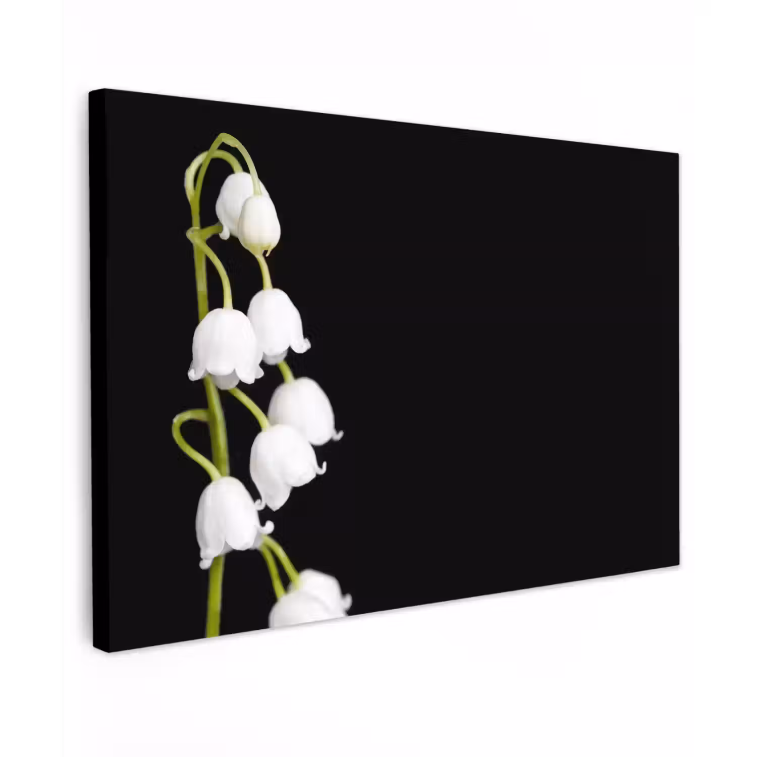 Lelietjes van dalen - Bloemen - Zwart - Flora Tuinposter op houten frame 2 cm dik klein -3d