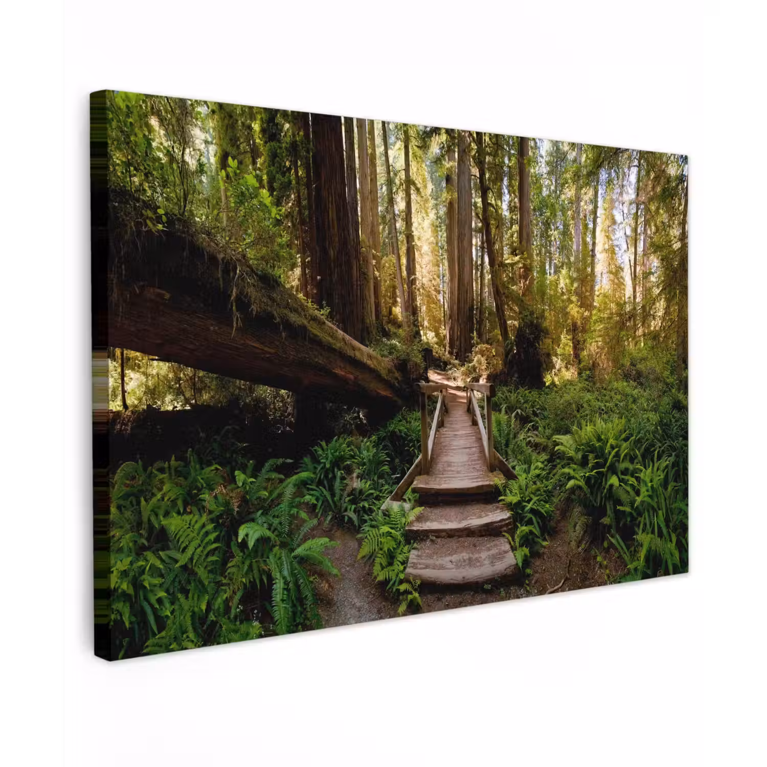 Verloren Brug in het Woud Tuinposter op houten frame 2 cm dik klein -3d