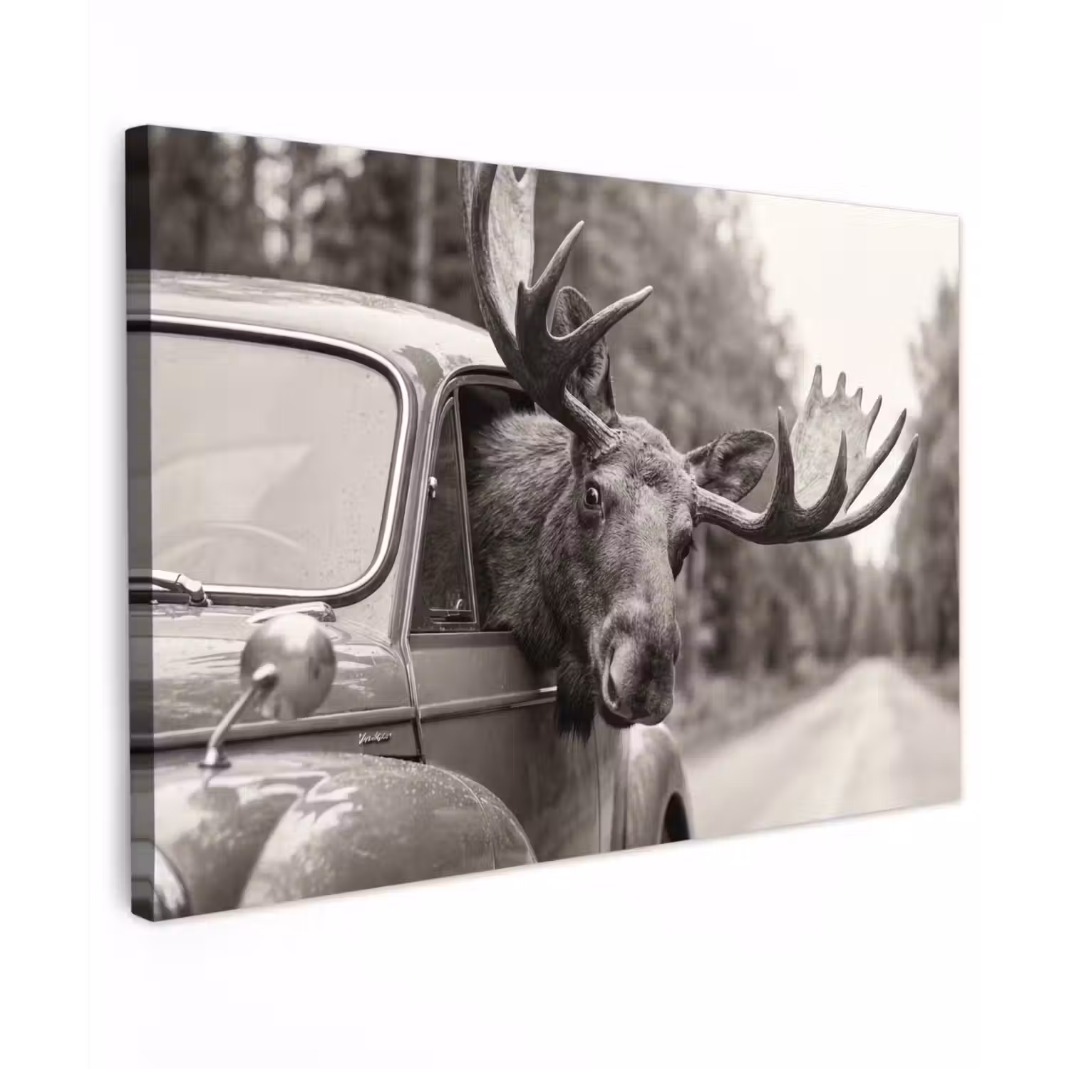 Eland - Auto - Gewei - Zwart - Wit Tuinposter op houten frame 2 cm dik klein -3d