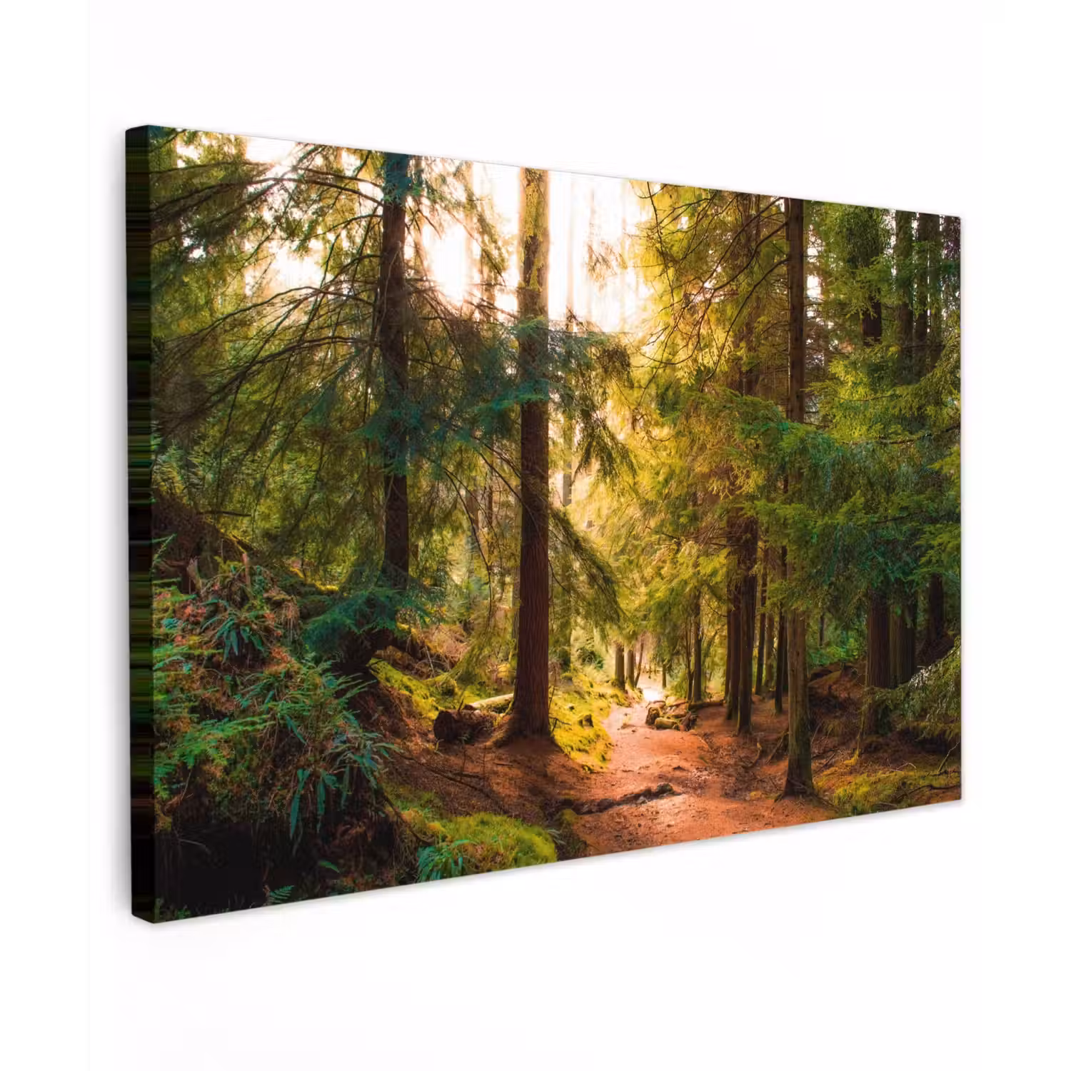 Mossig bospad Tuinposter op houten frame 2 cm dik klein -3d