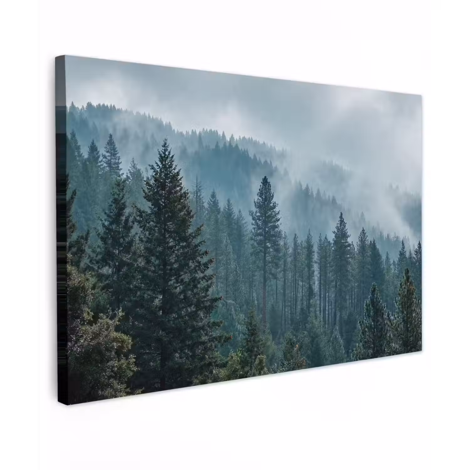 Naaldwoud - Bergen - Mist Tuinposter op houten frame 2 cm dik klein -3d