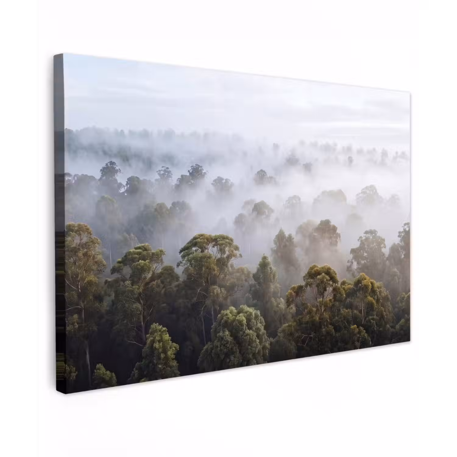 Natuur - Mist - Bos - Ochtend - Goud Tuinposter op houten frame 2 cm dik klein -3d
